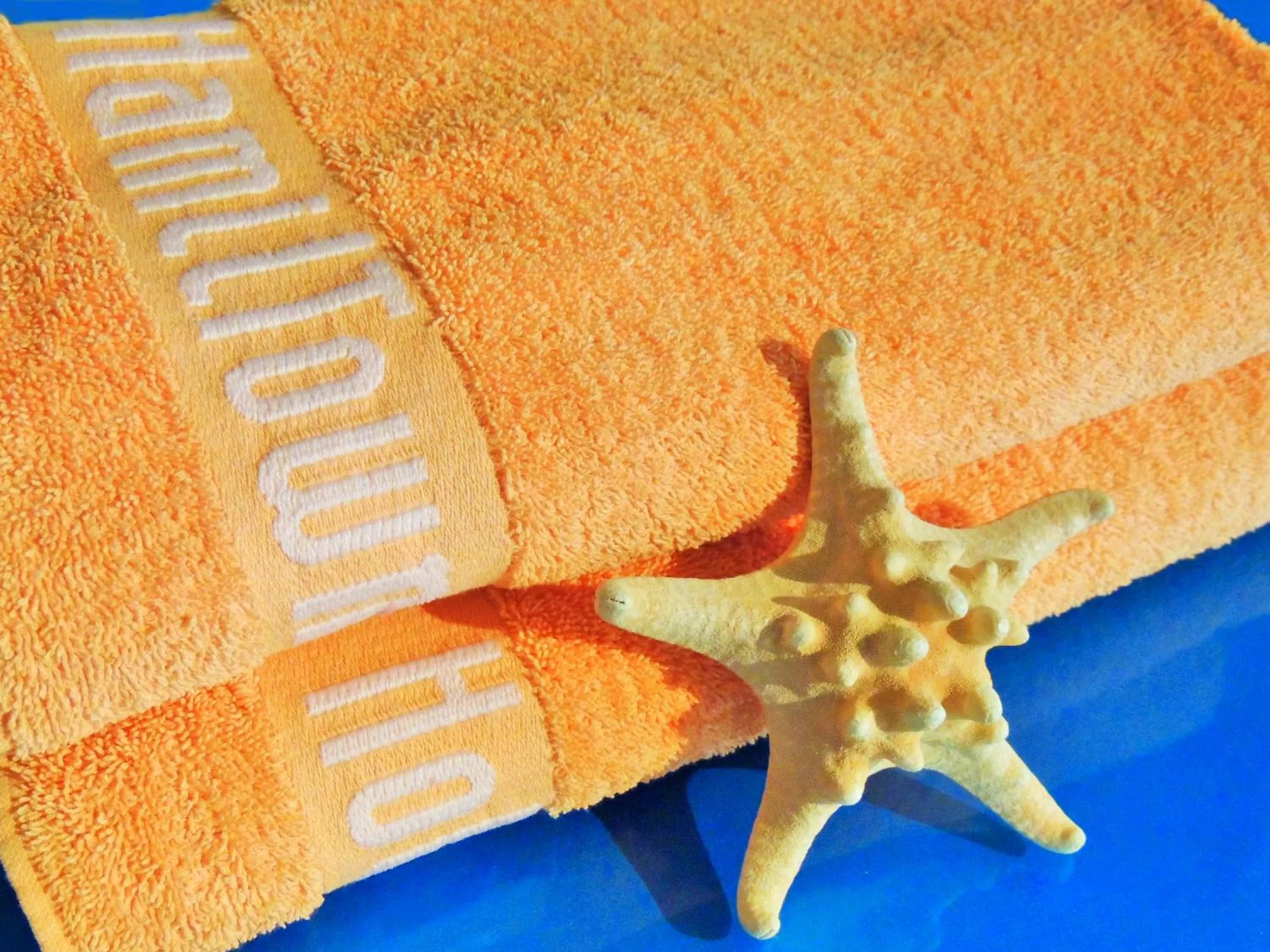 Logo/Certificate/Sign in Hotel HamilTown