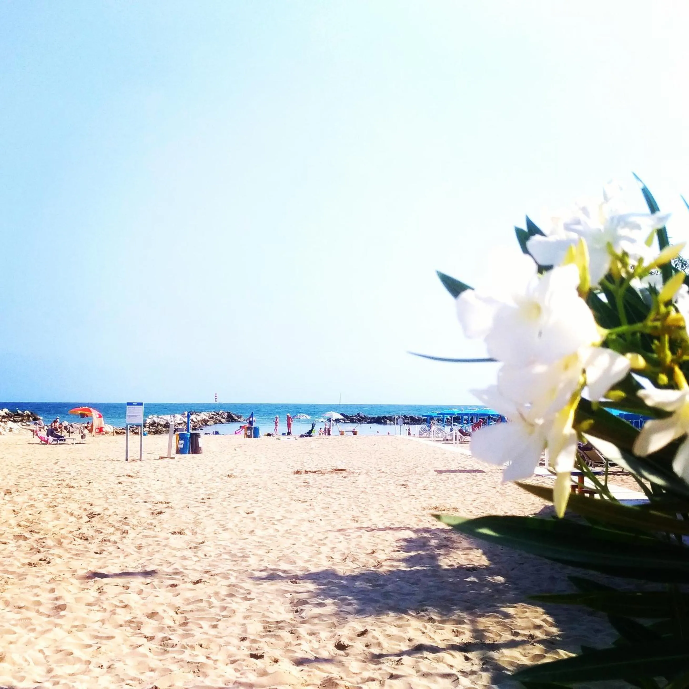 Day in Hotel HamilTown