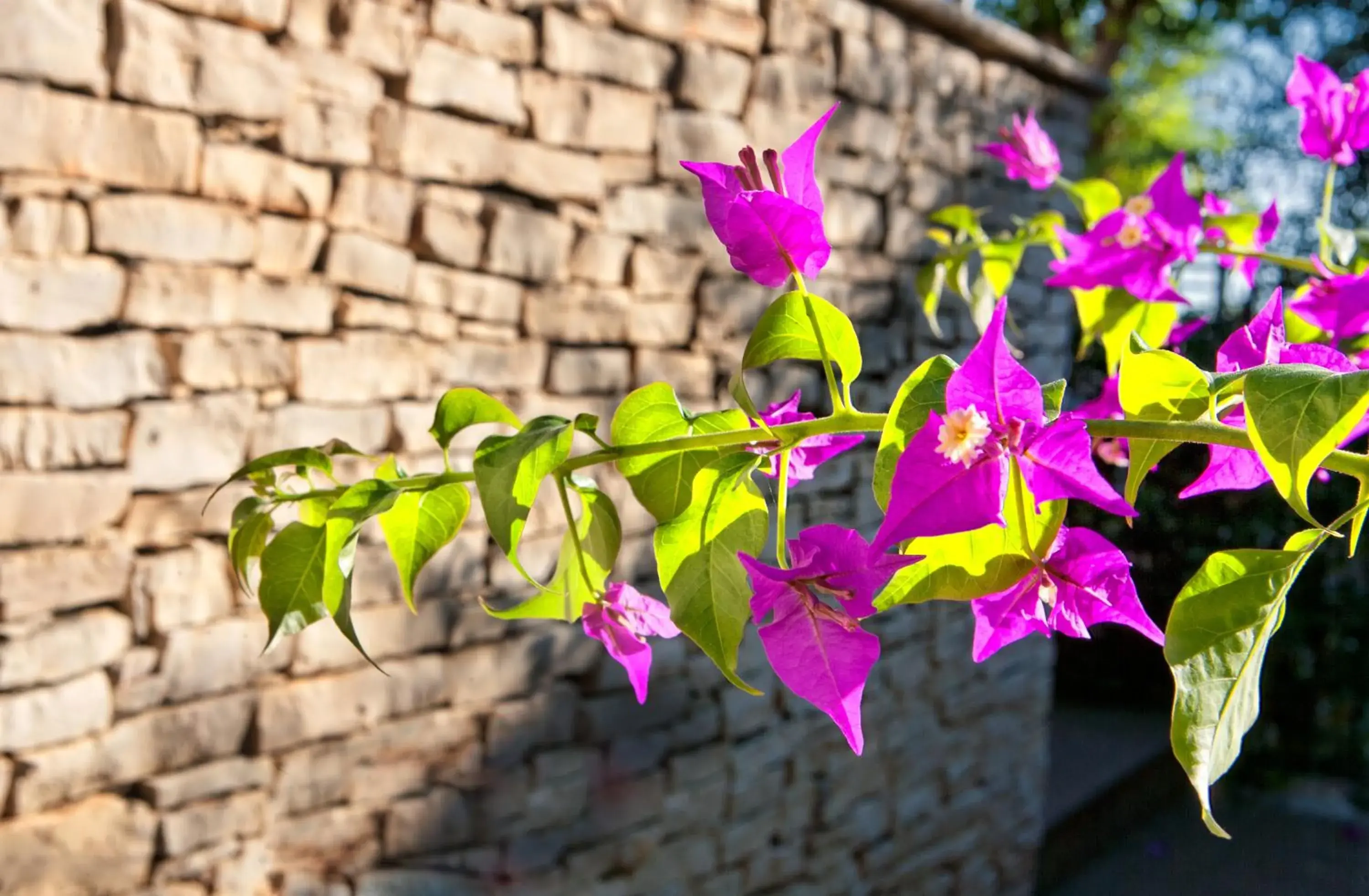 Standard Double Room in Virgilio Grand Hotel Standard Double Room in Virgilio Grand Hotel