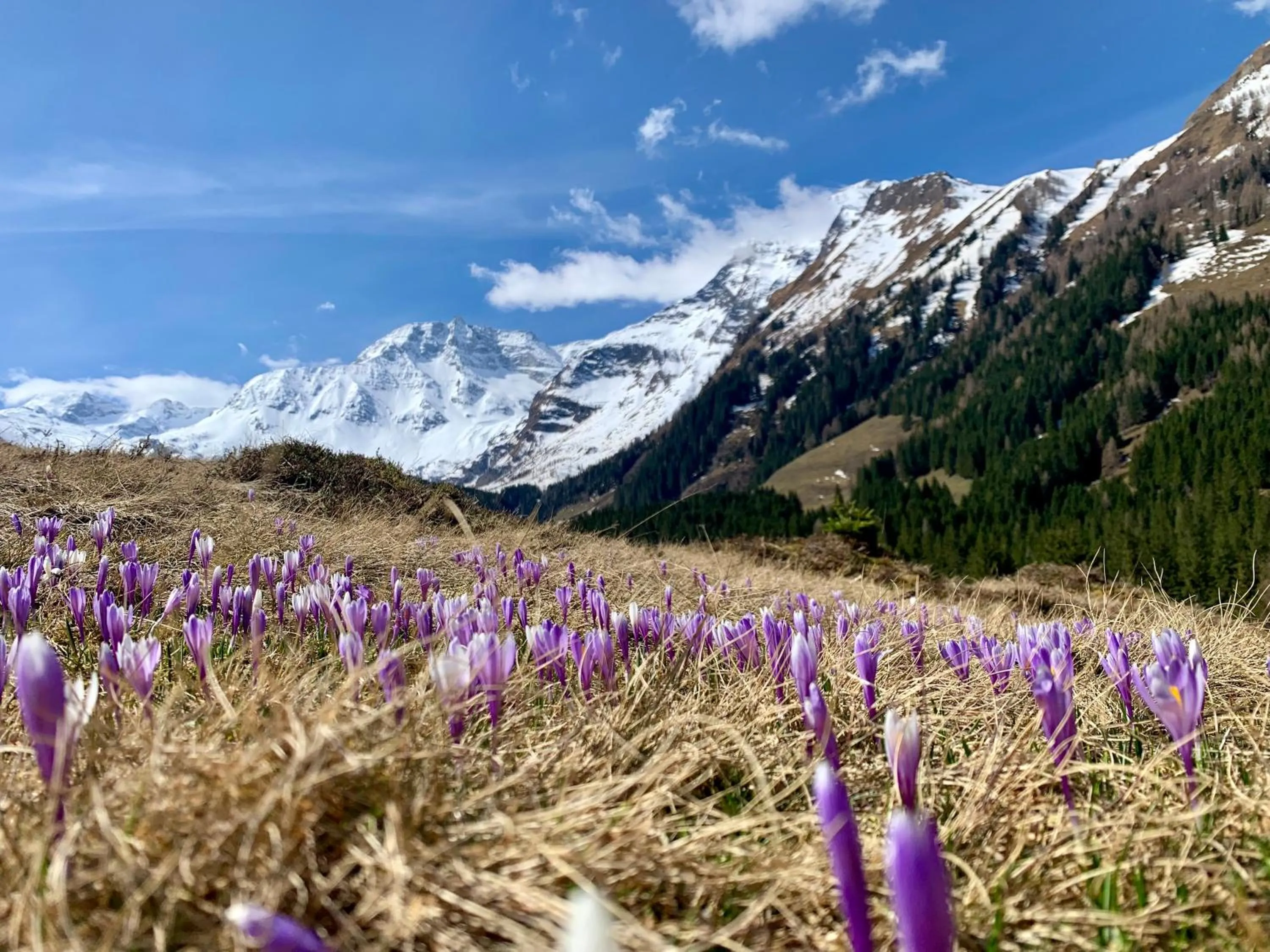 Other in Haus Standlgut Rauris -- incl Sommercard