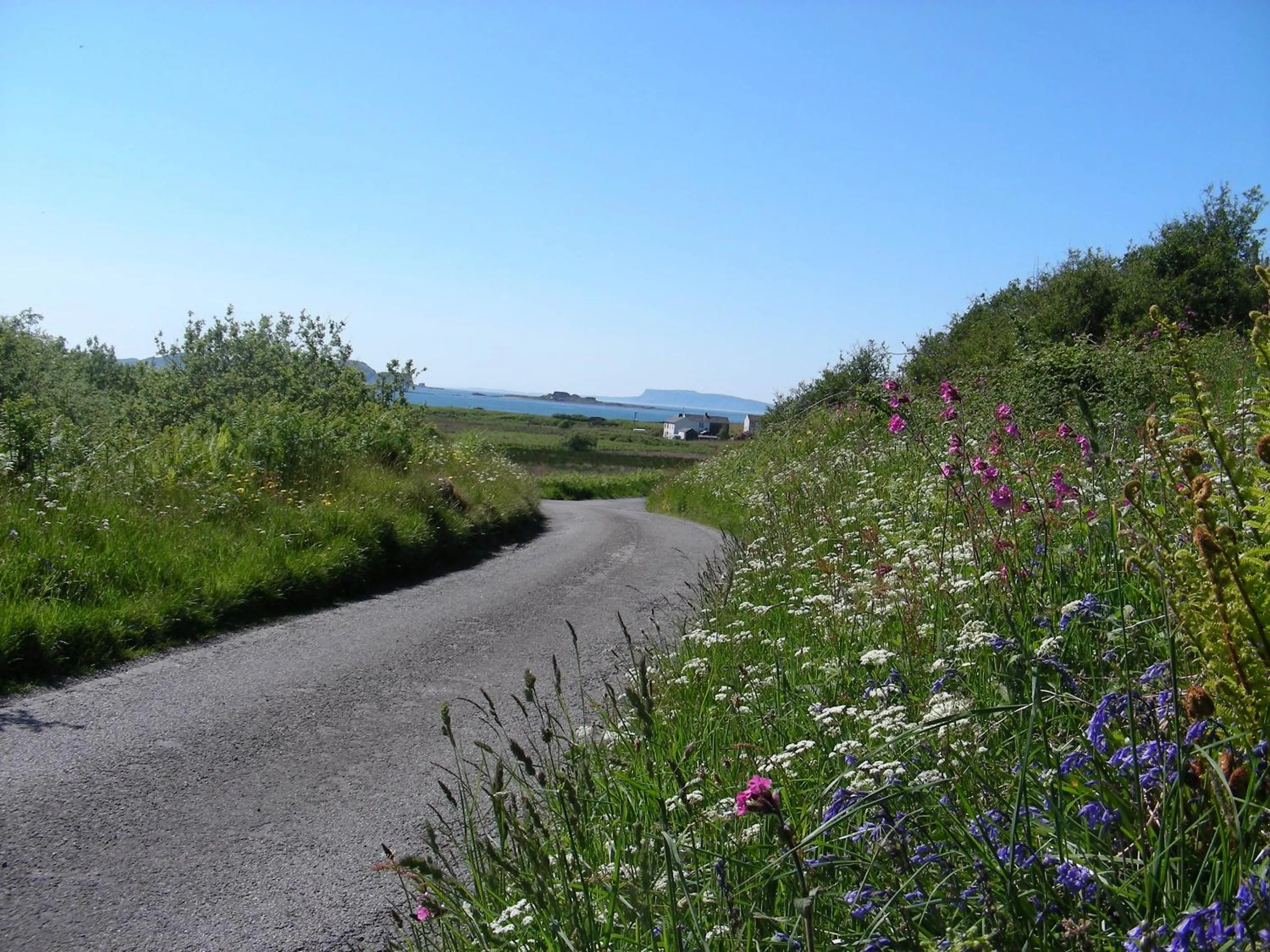 Off site in Sunnybrae, Isle of Luing