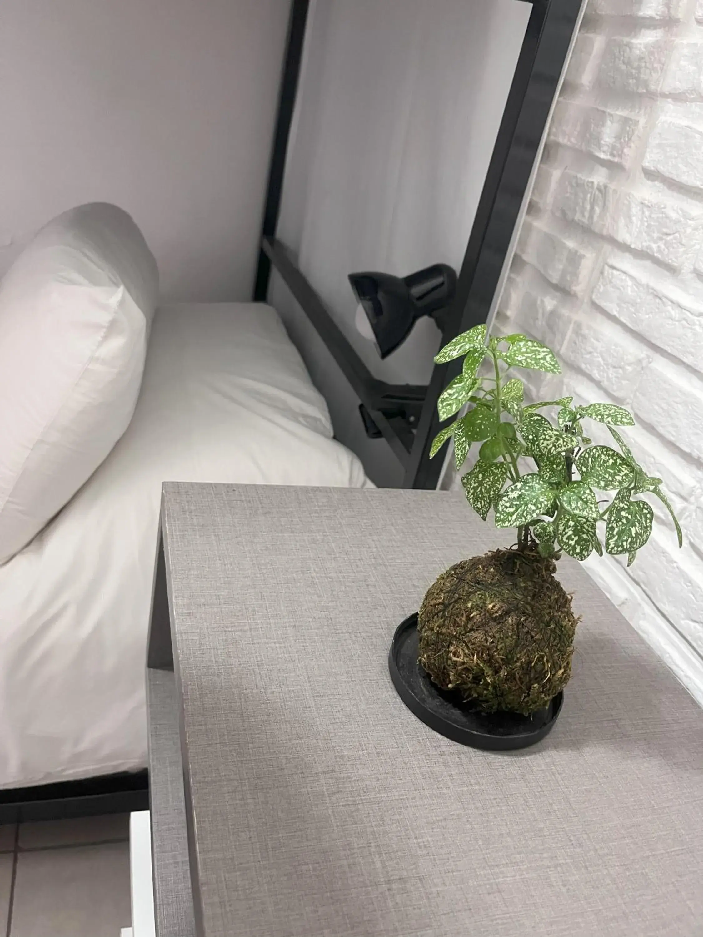 Twin Room with Private Bathroom - single occupancy in Selina Salta Twin Room with Private Bathroom - single occupancy in Selina Salta