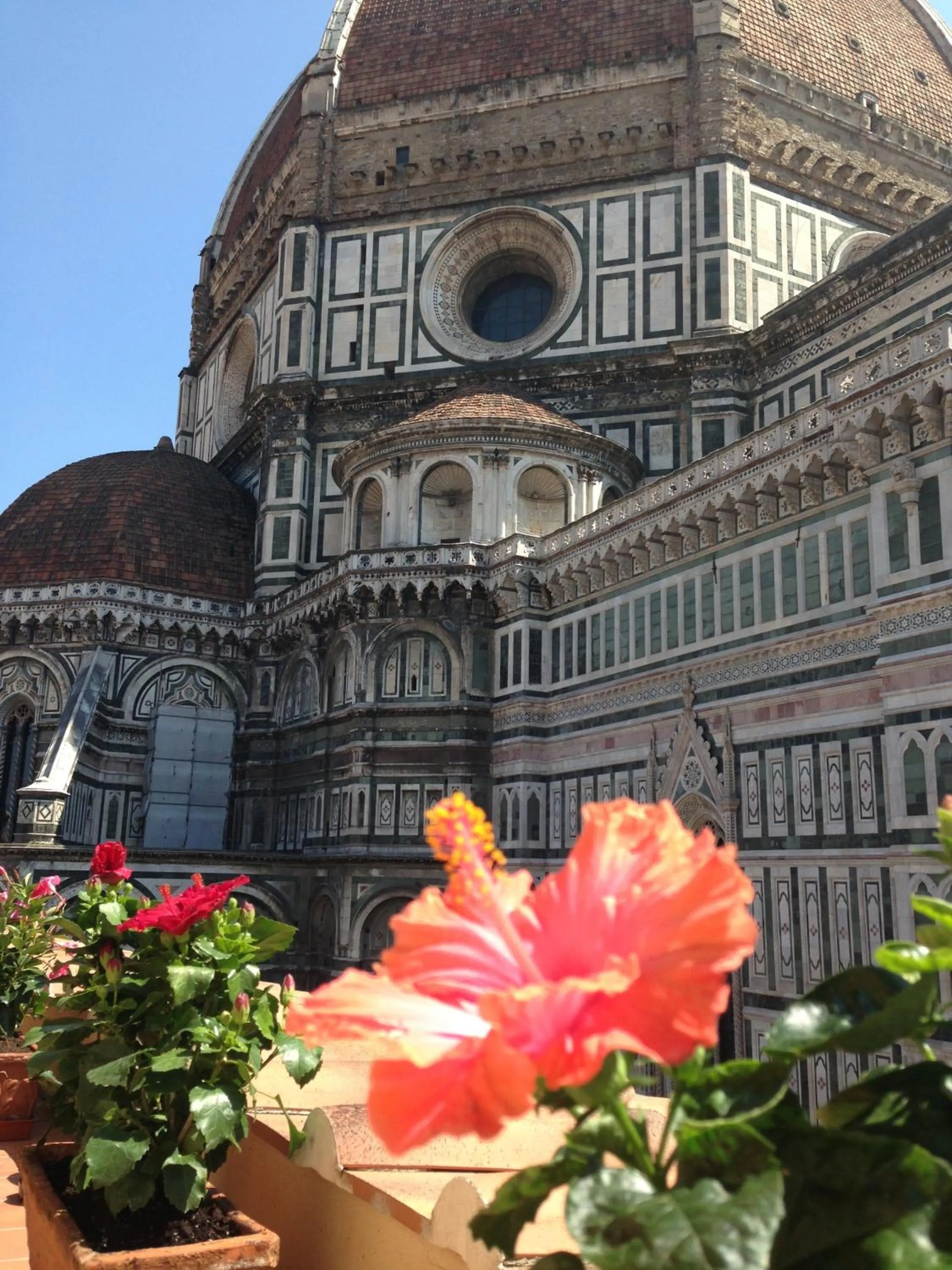 View (from property/room) in Hotel Duomo Firenze