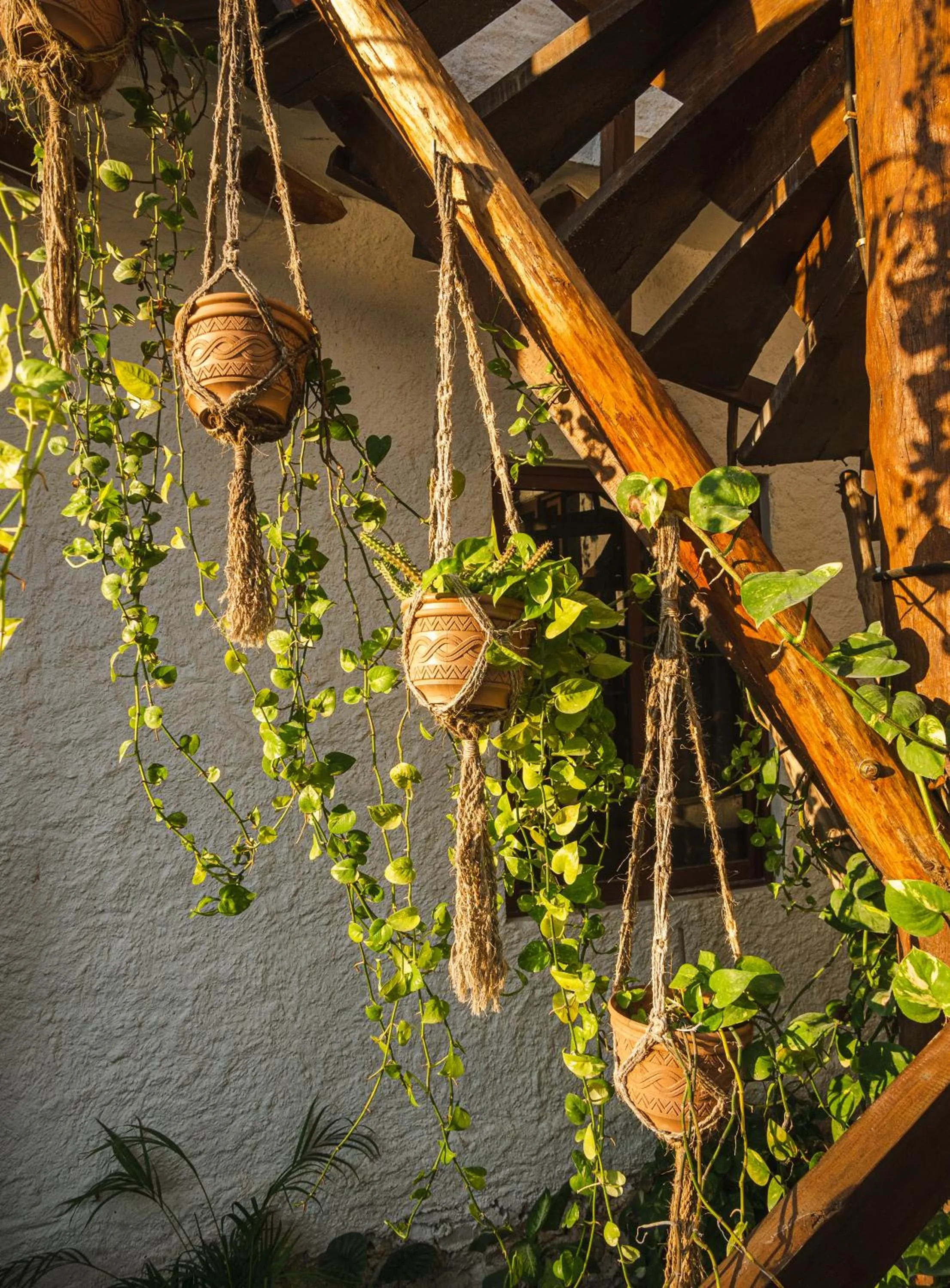 Garden view in Arte Sano Hotel Only Adults - Near Beach