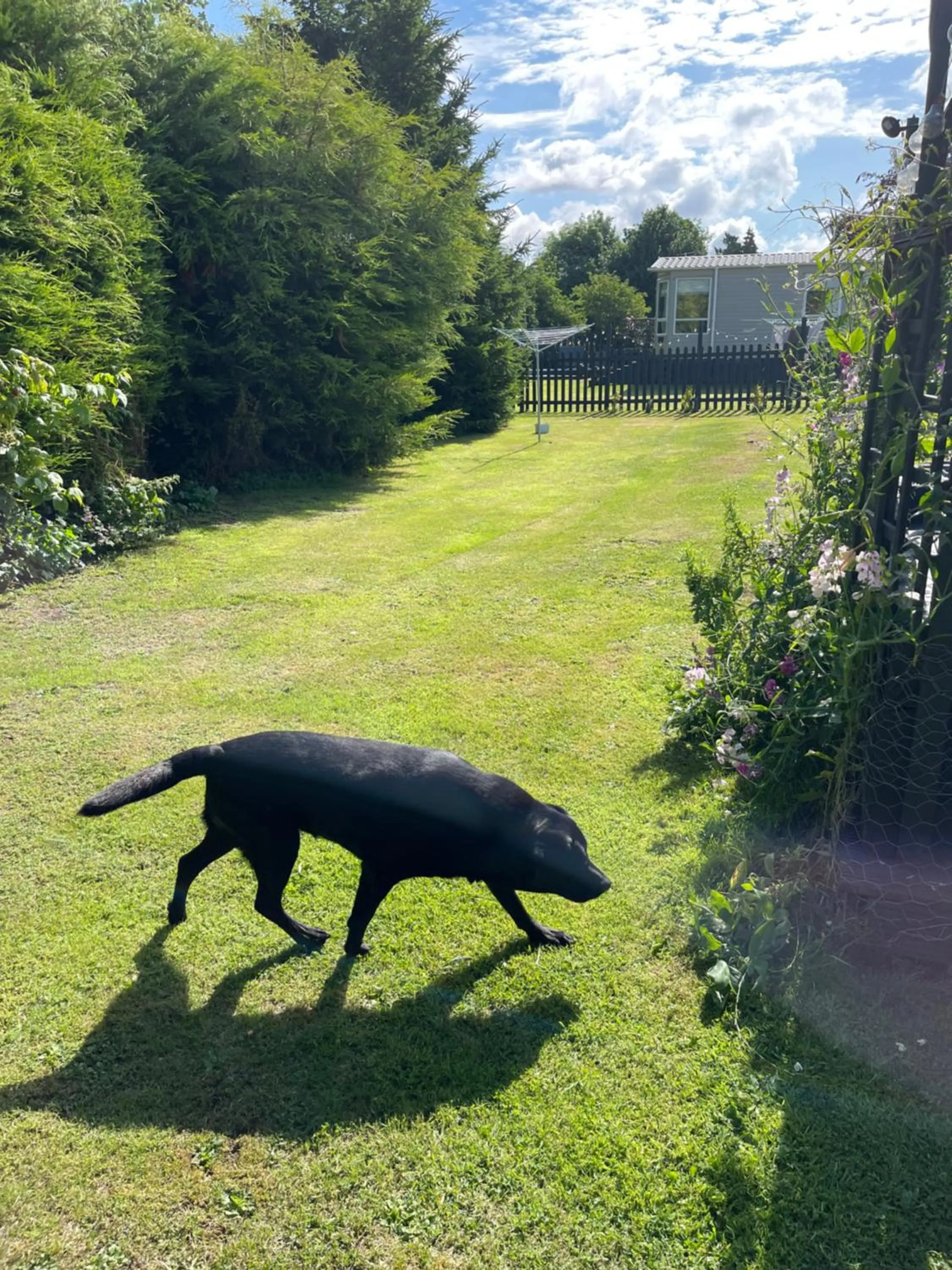 pet friendly in The Old Inn Retreat