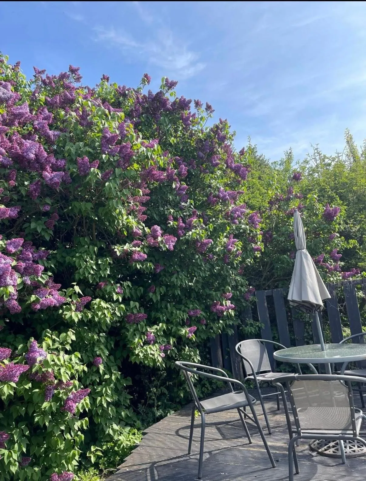 Garden in The Old Inn Retreat