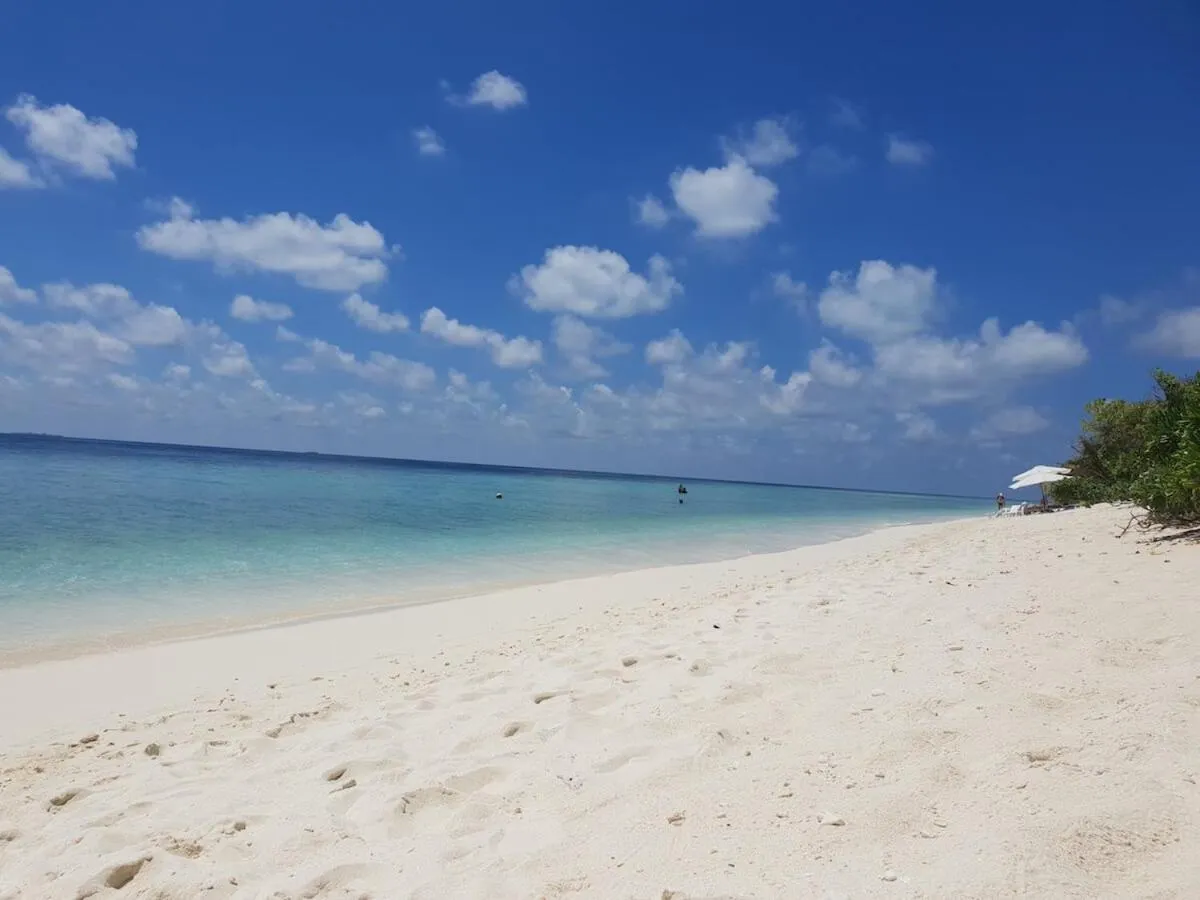 Beach in Coco Ukulhas Villa