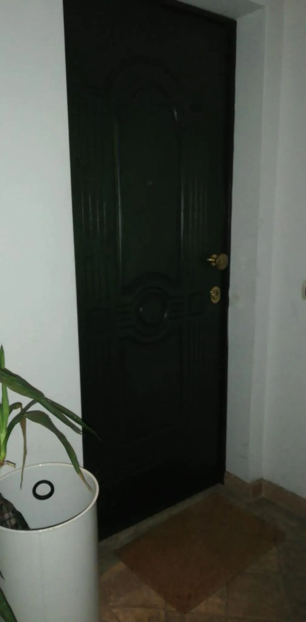 Nostromondo Ciancaleoni Palace