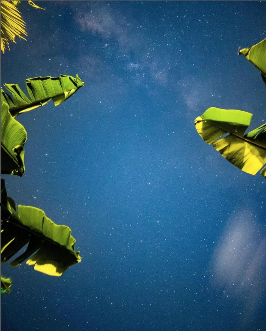 Nearby landmark in Suffix Retreat - Stay, Dive & Explore Fuvahmulah