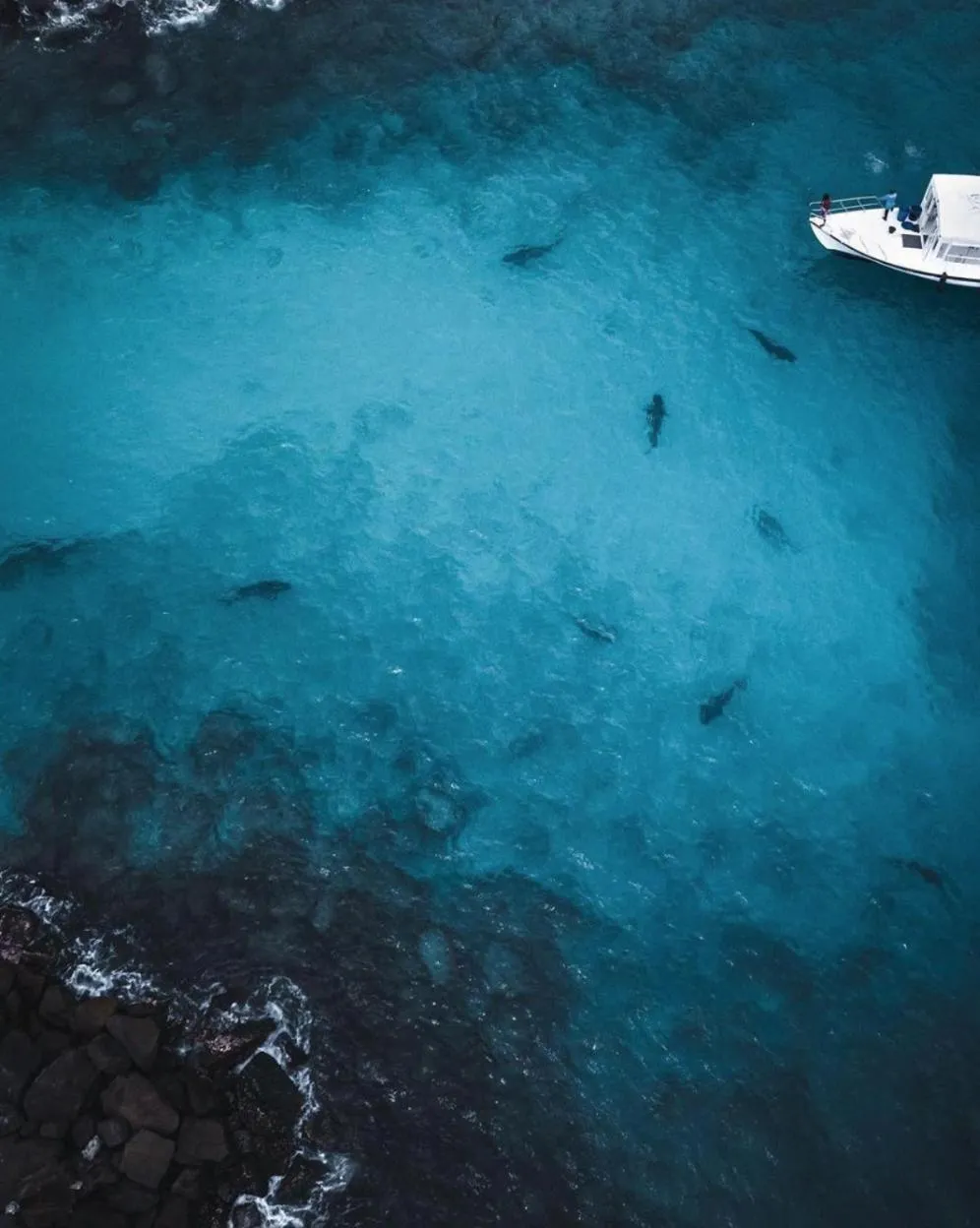 Diving in Suffix Retreat - Stay, Dive & Explore Fuvahmulah