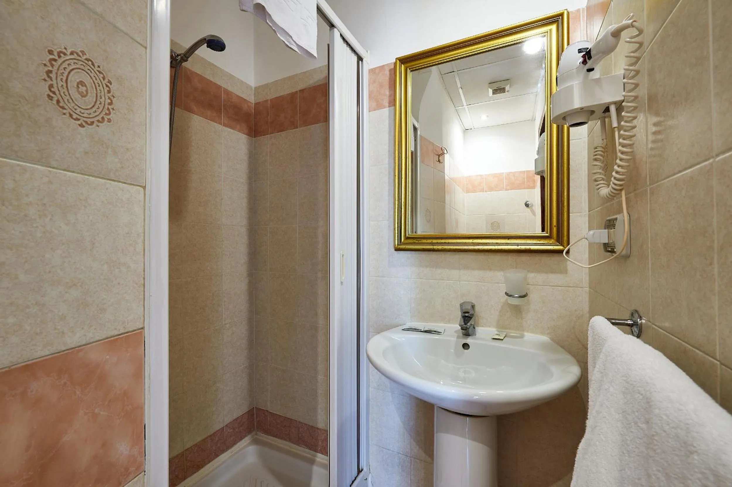 Shower in Hotel Virginia