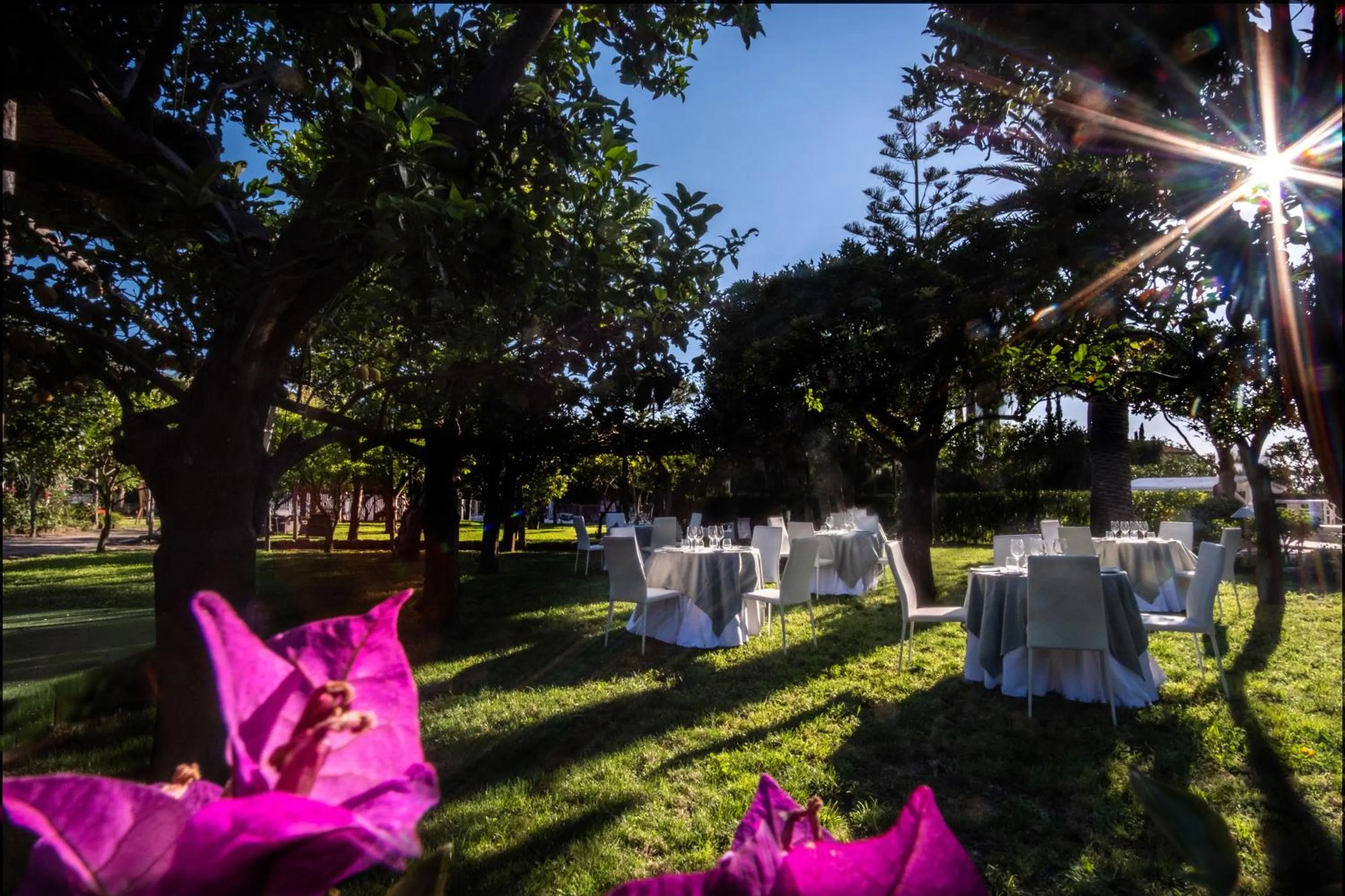 Restaurant/places to eat in Hotel Alpha