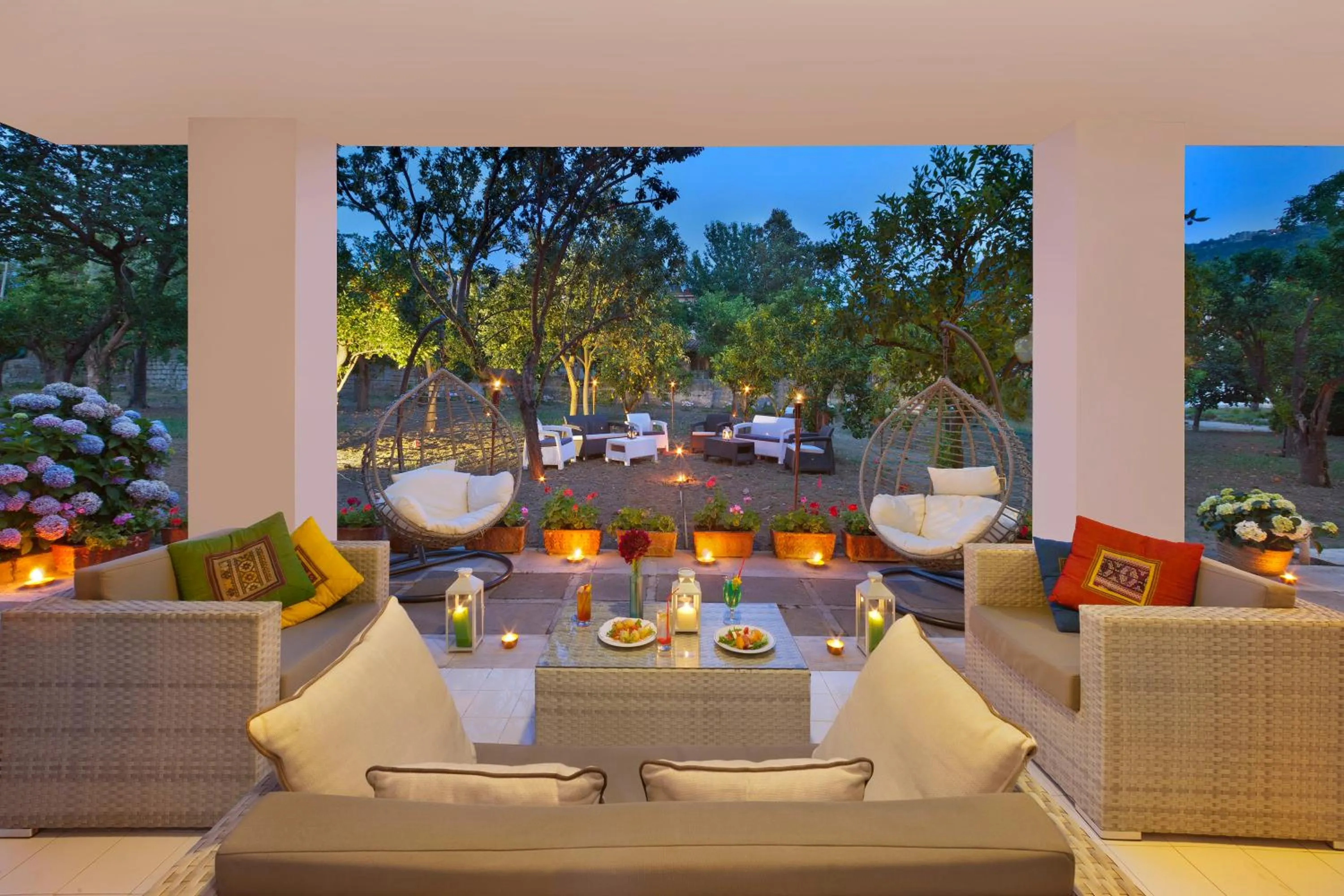 Garden in Hotel Alpha