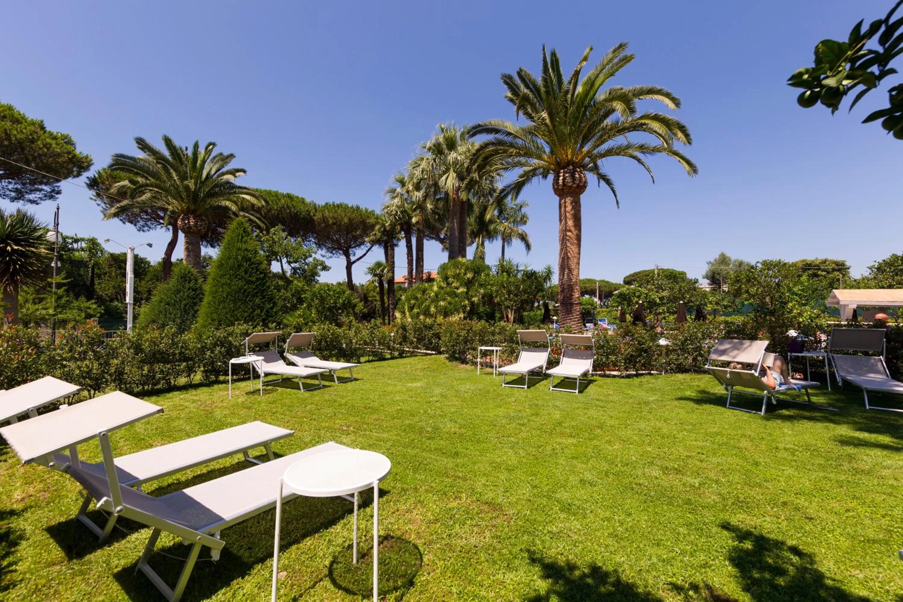 Garden in Hotel Alpha