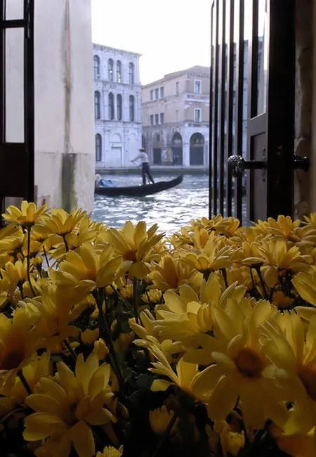 Decorative detail in Al Ponte Antico