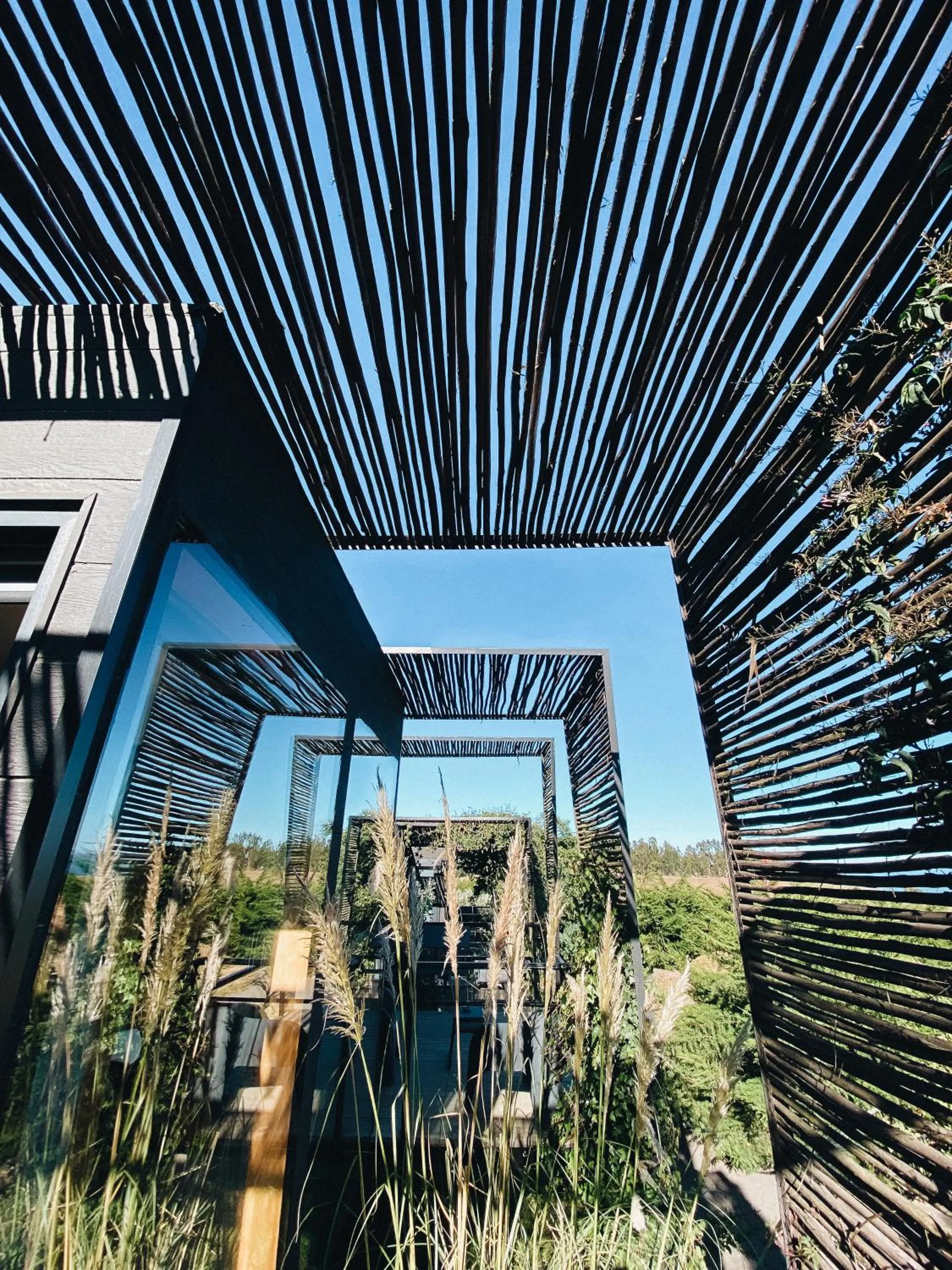 Garden in Taka Matanzas