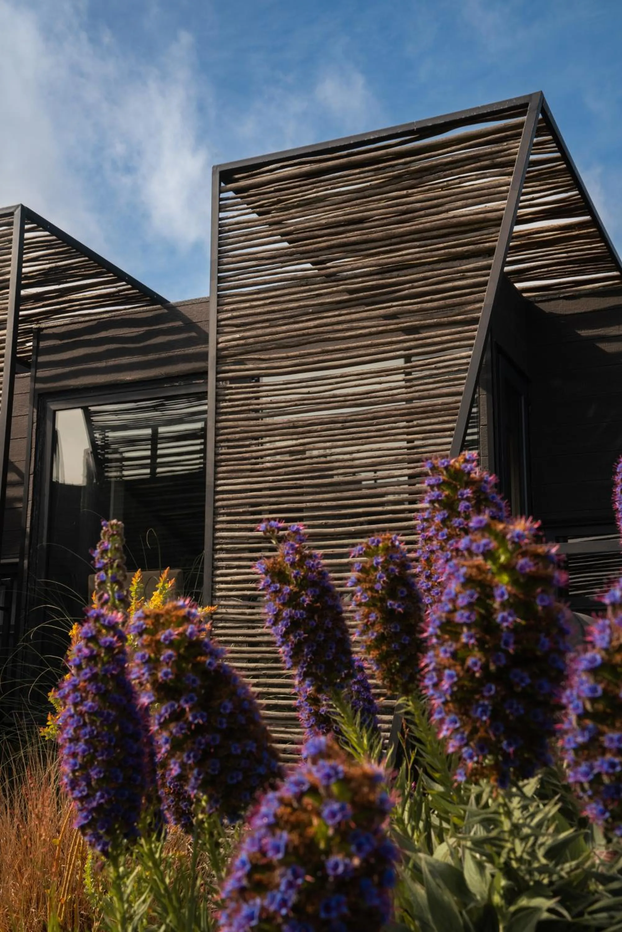 Patio in Taka Matanzas