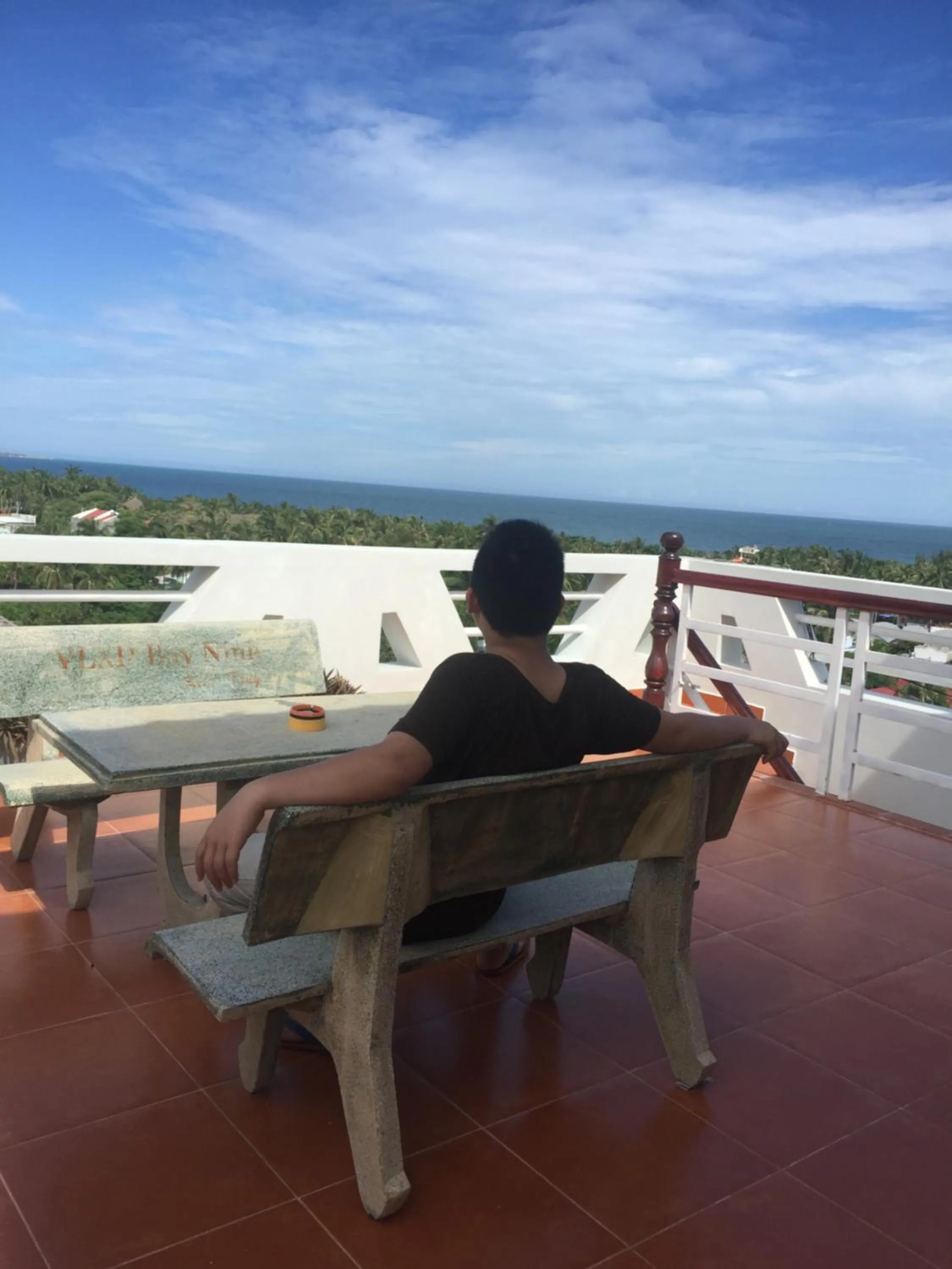 View (from property/room) in Viet's Hotel