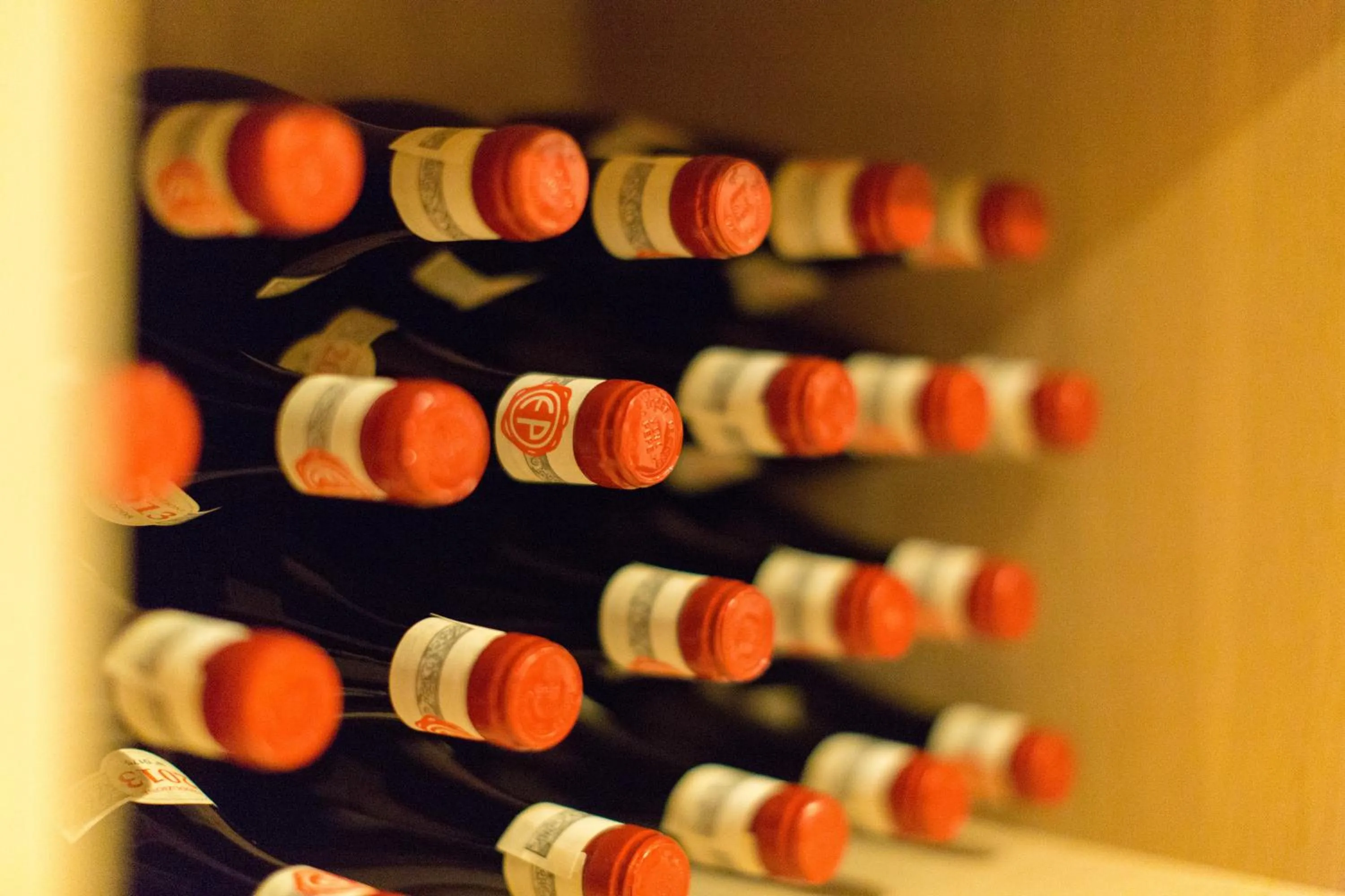 Ristorante Hotel Lucia - 100 mt dal mare