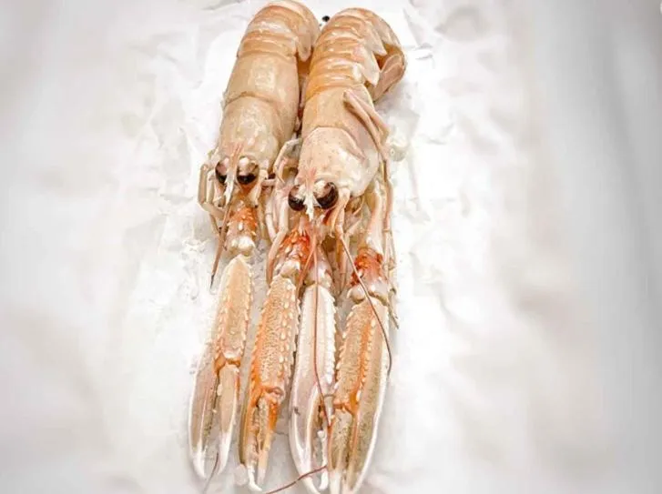 Ristorante Hotel Lucia - 100 mt dal mare