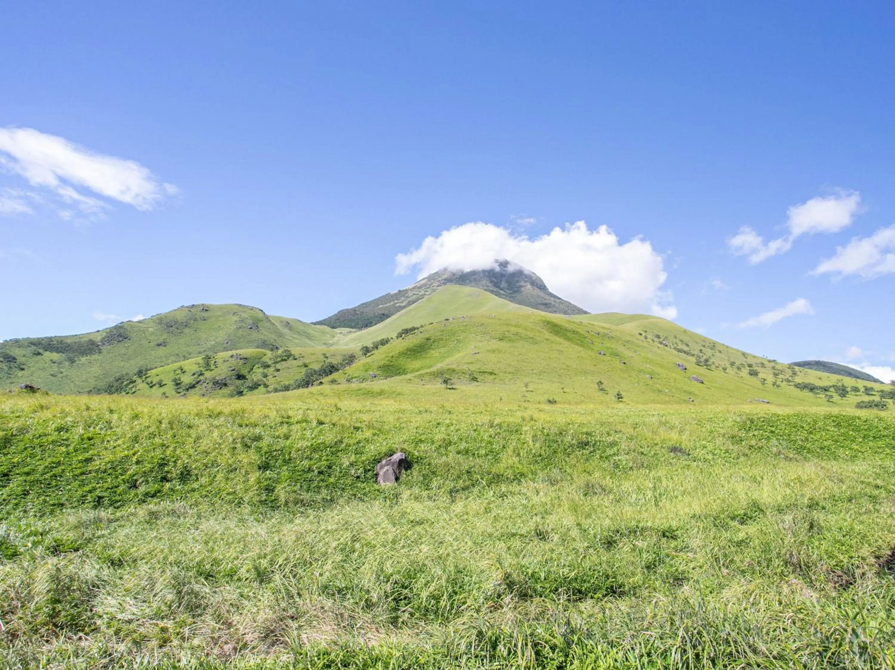 Natural landscape in Yufuin Besso Shikisai Hotel