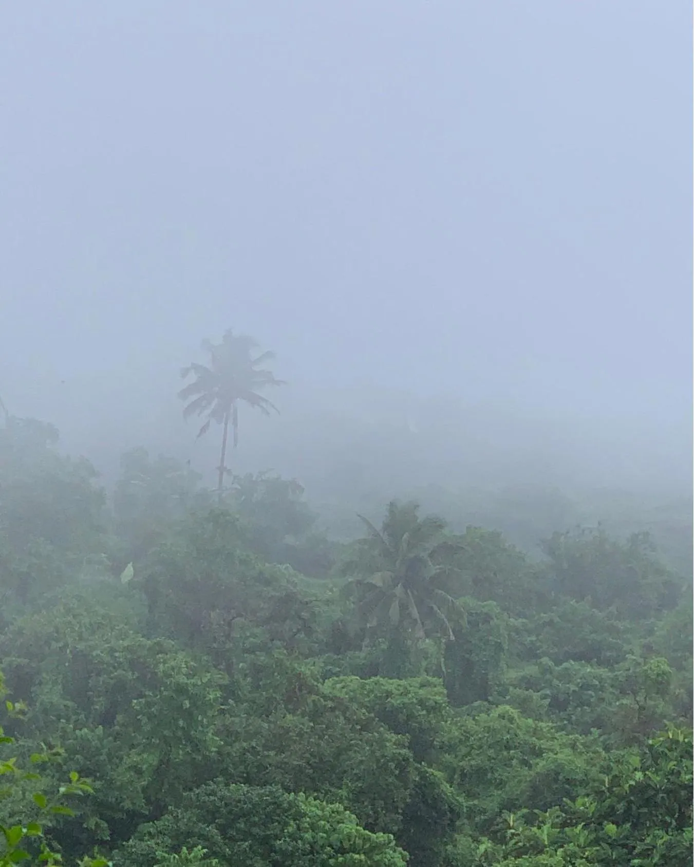 Shanti Wellness Sanctuary