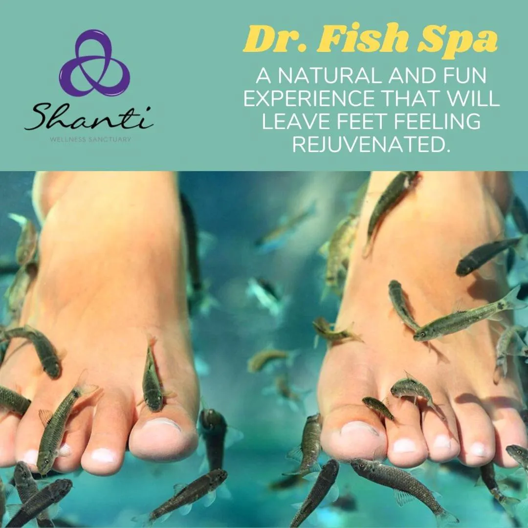 Shanti Wellness Sanctuary