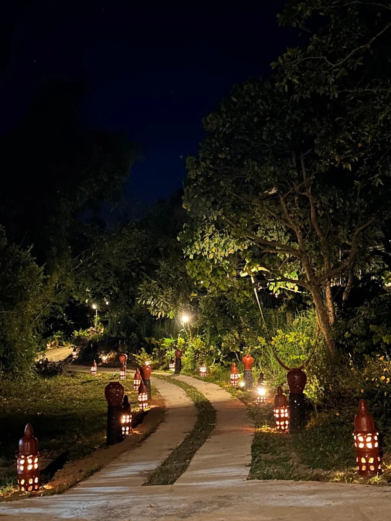 Shanti Wellness Sanctuary