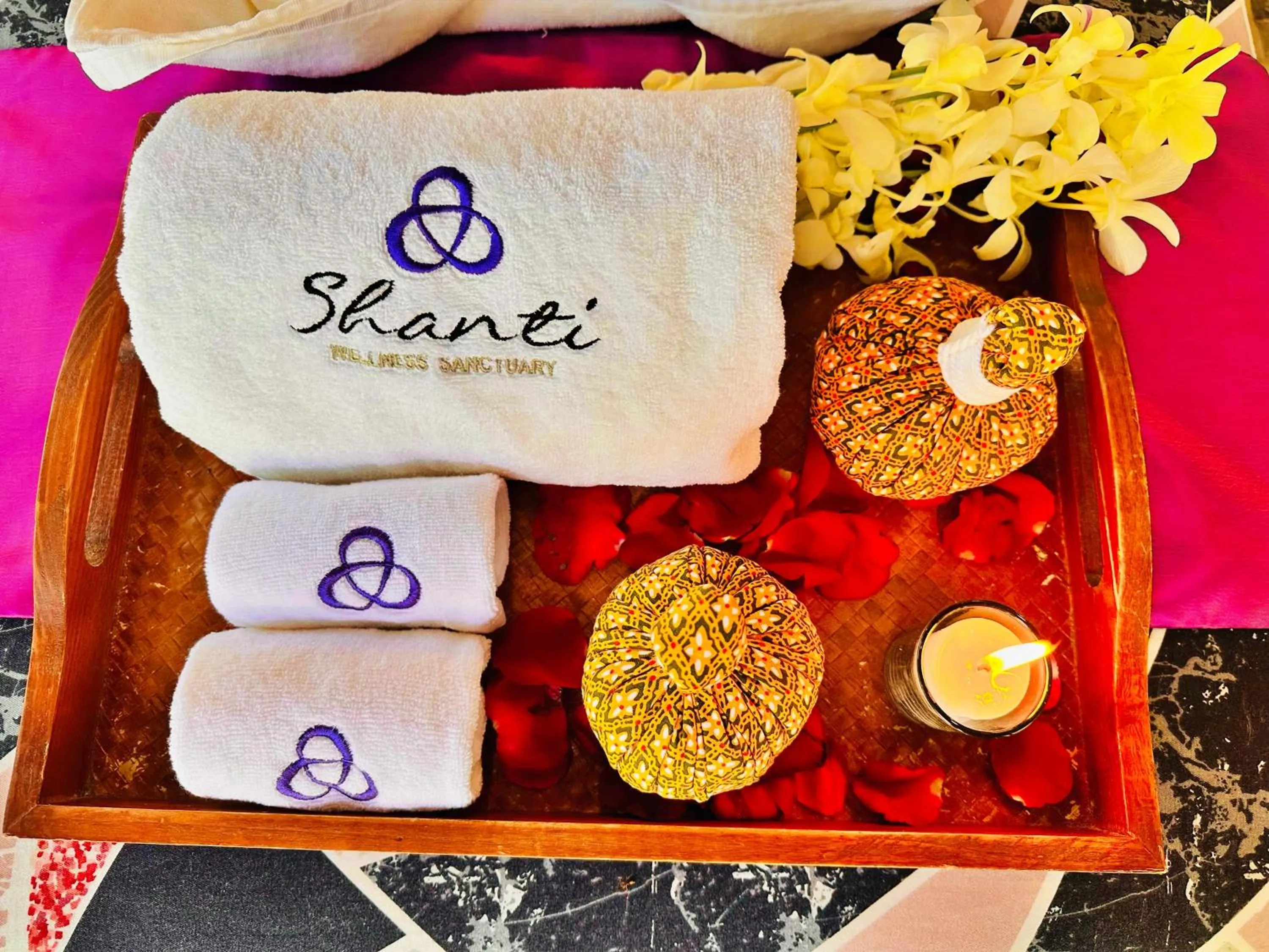 Shanti Wellness Sanctuary