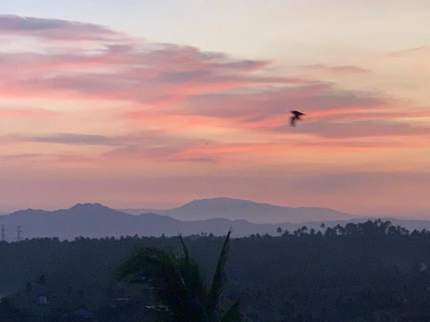 Shanti Wellness Sanctuary