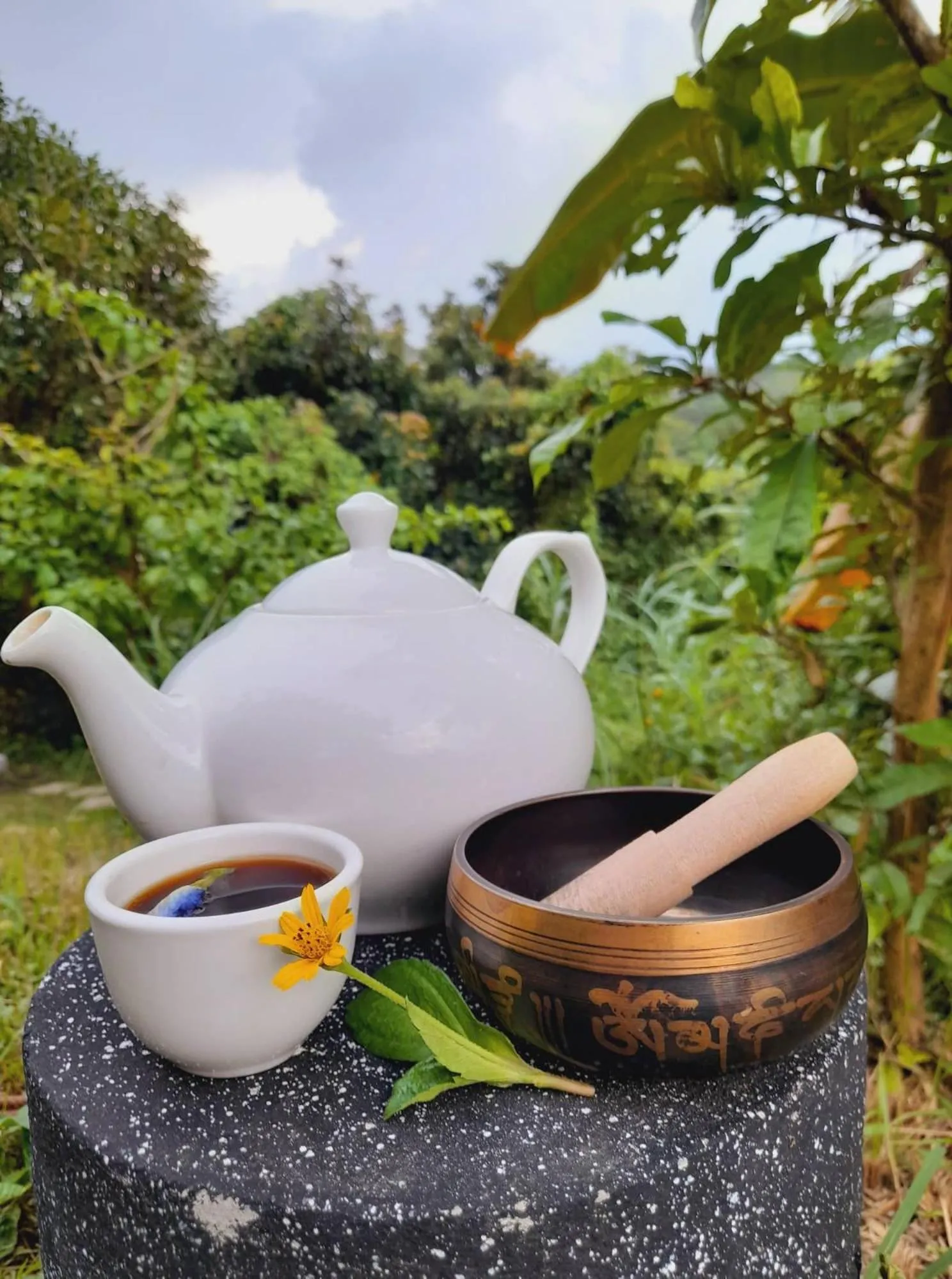 Shanti Wellness Sanctuary