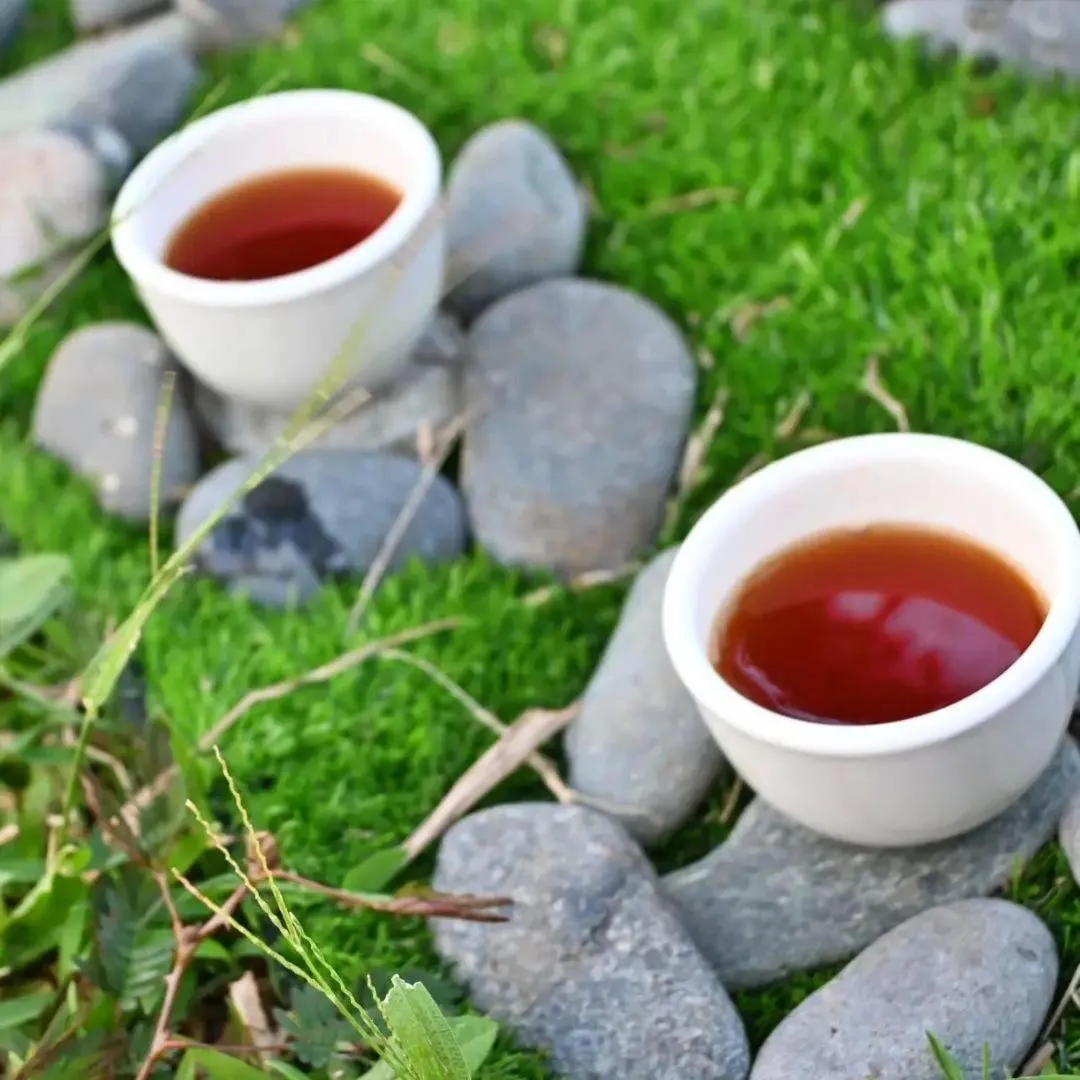 Shanti Wellness Sanctuary