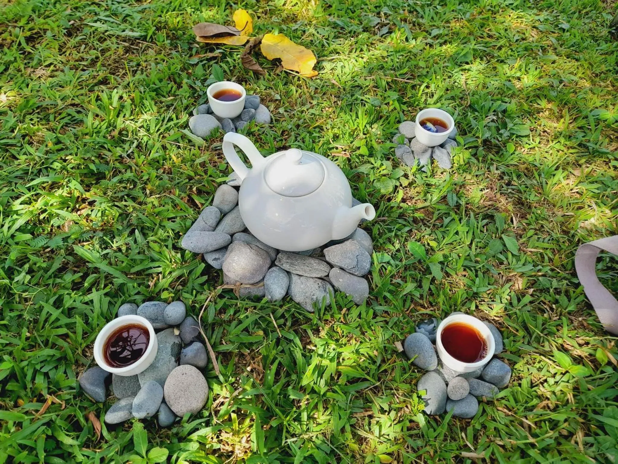 Shanti Wellness Sanctuary