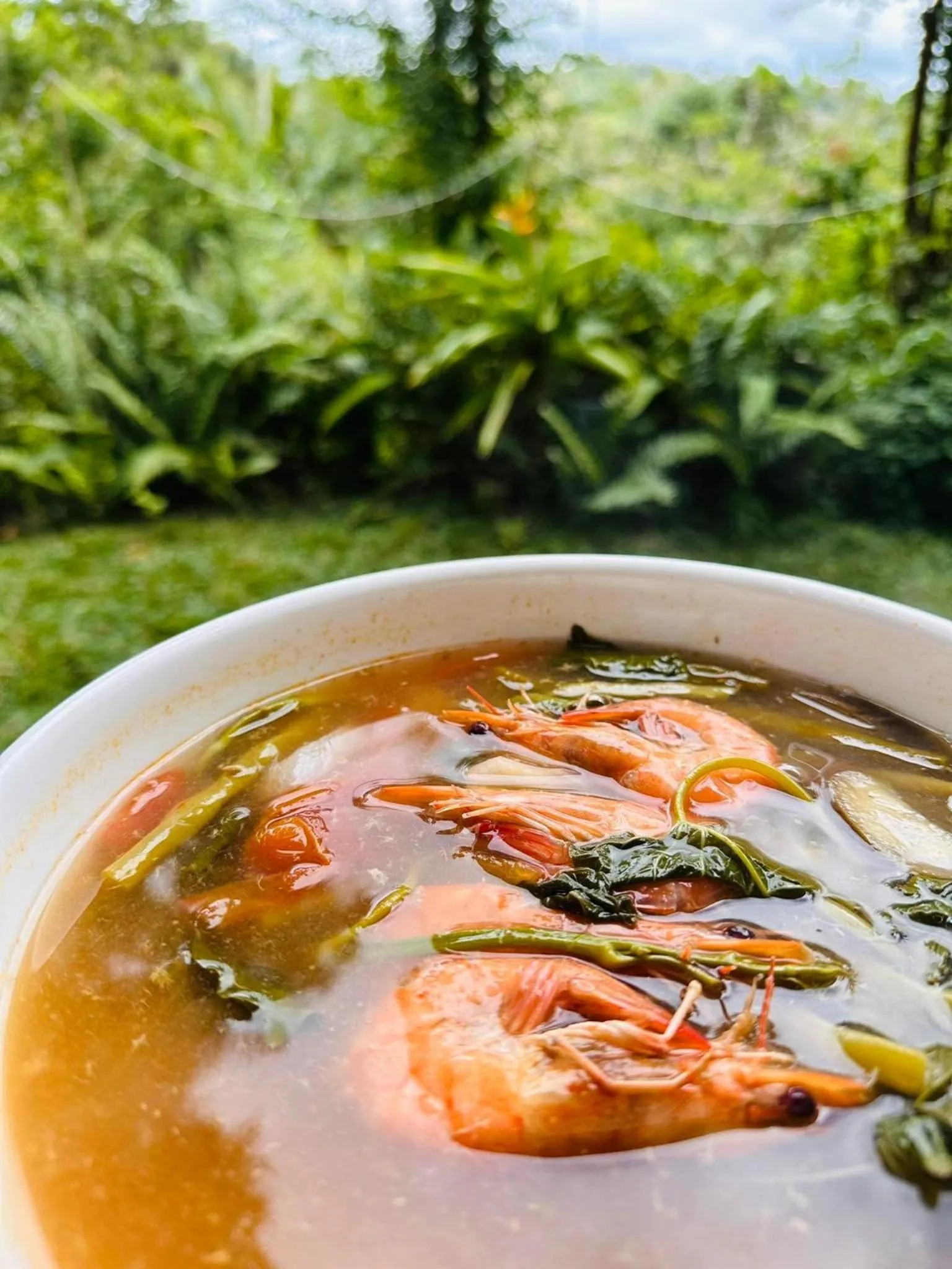 Shanti Wellness Sanctuary