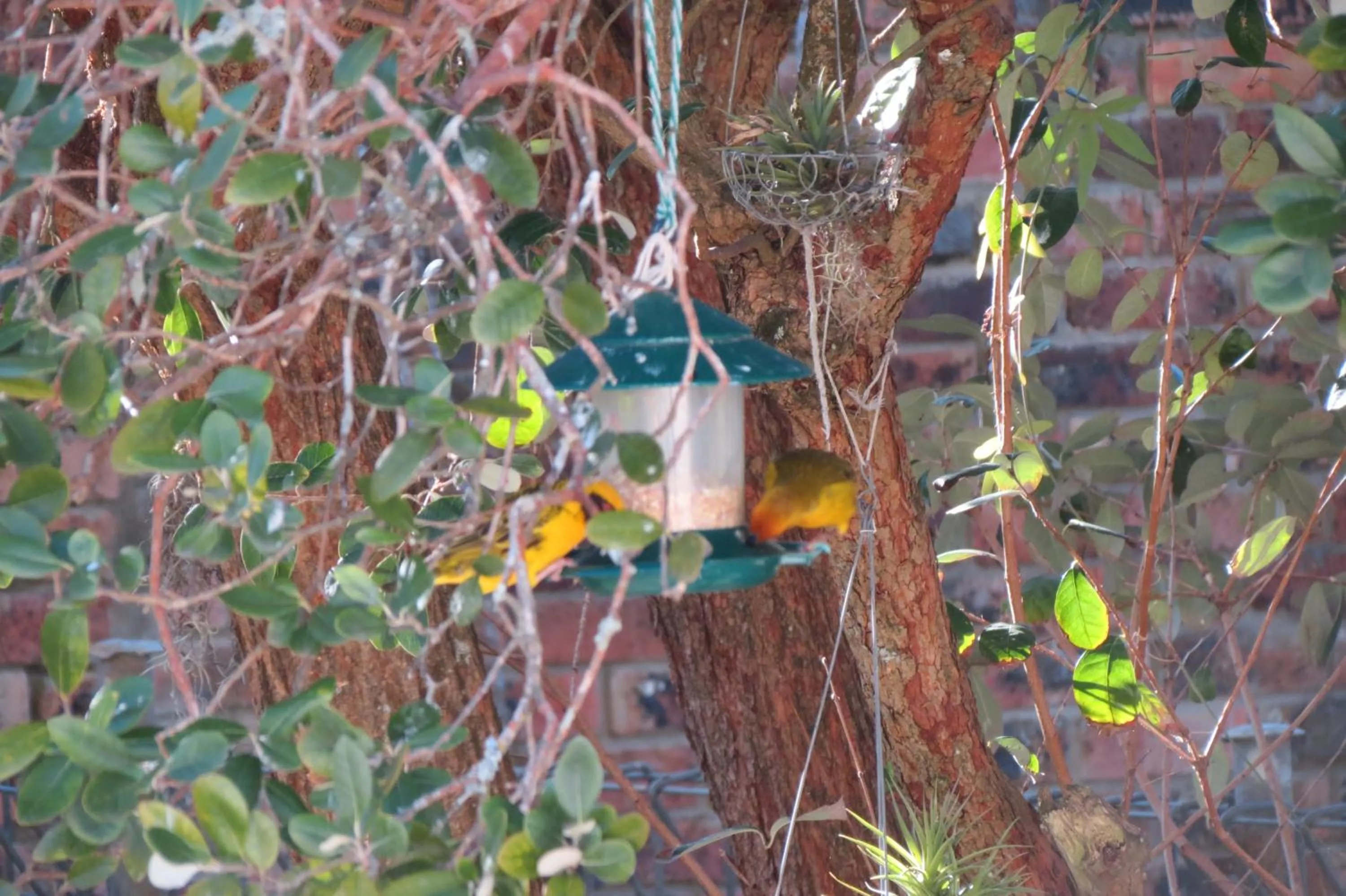 Garden view in AppleBee Guest Cottages