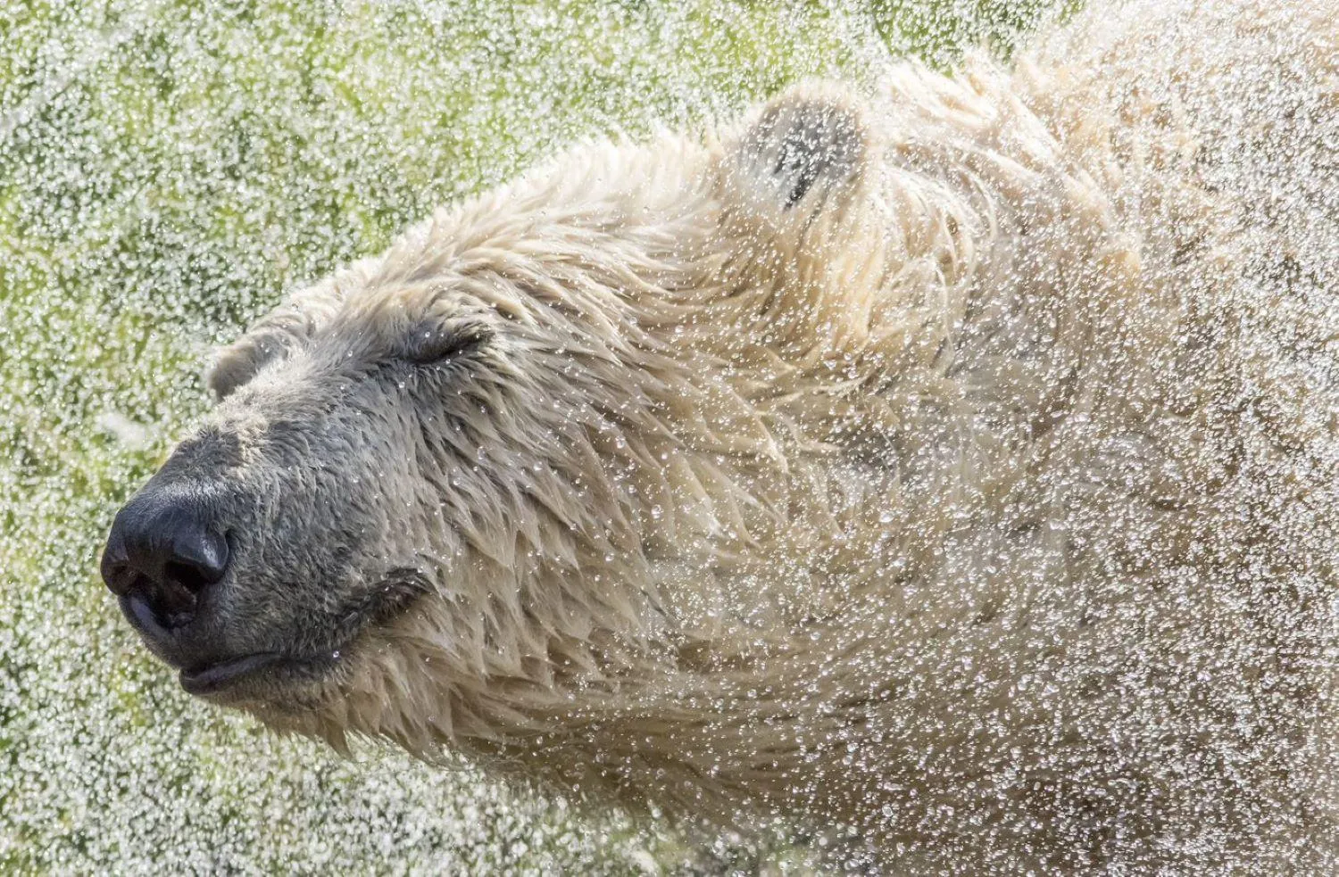 Nearby landmark in Hex Wildlife Hotel at Yorkshire Wildlife Park