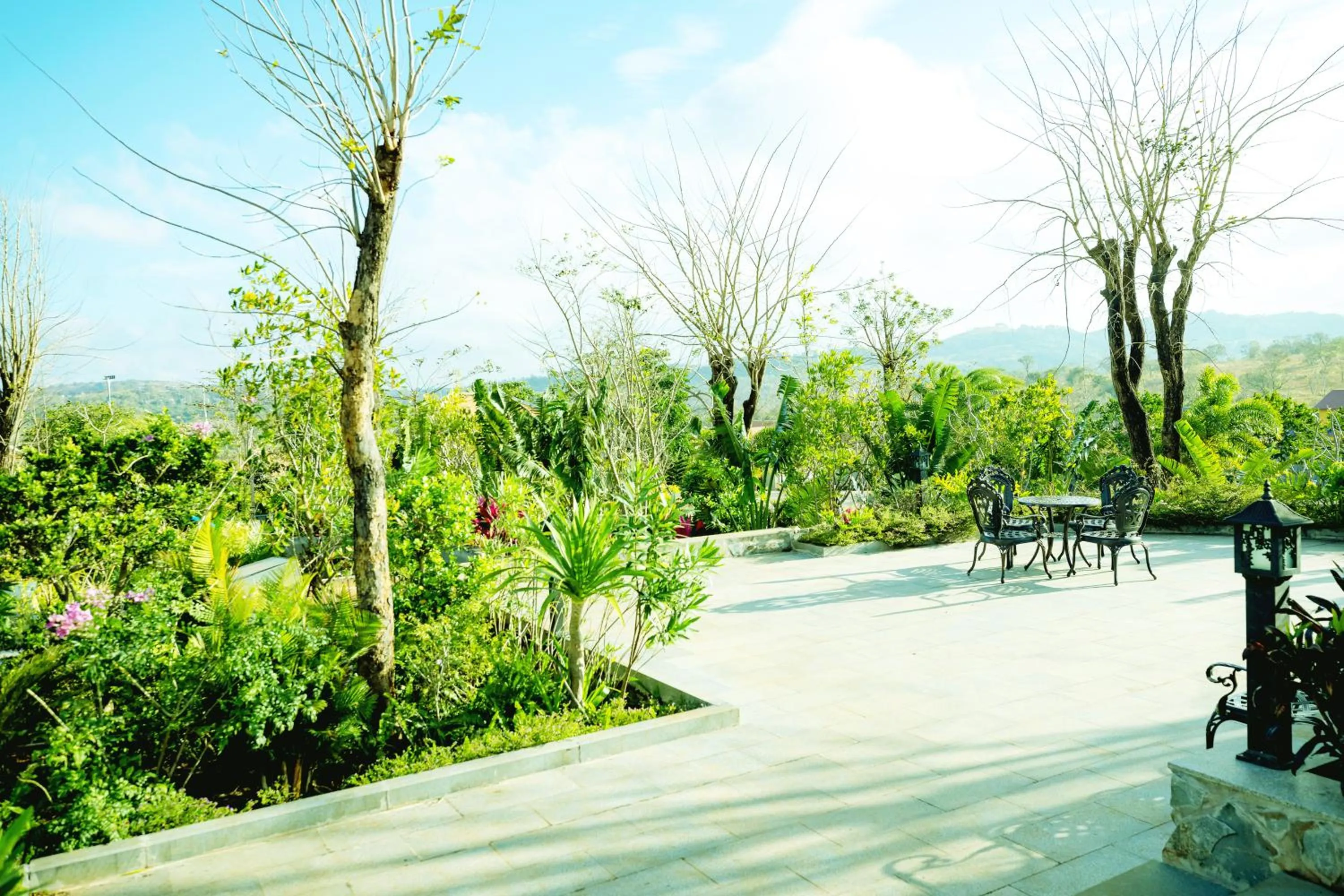 Garden in KNN RESORT Mondulkiri