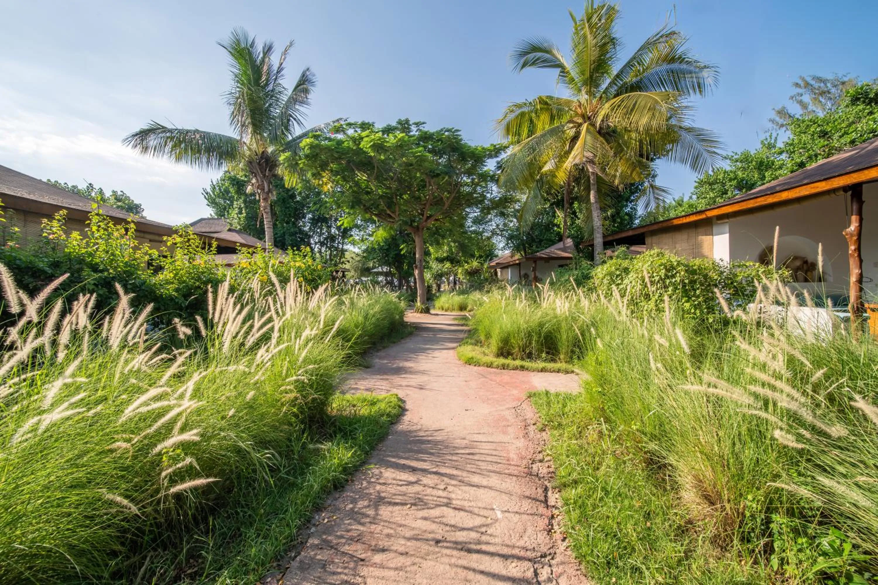 Garden in Wilson's Retreat