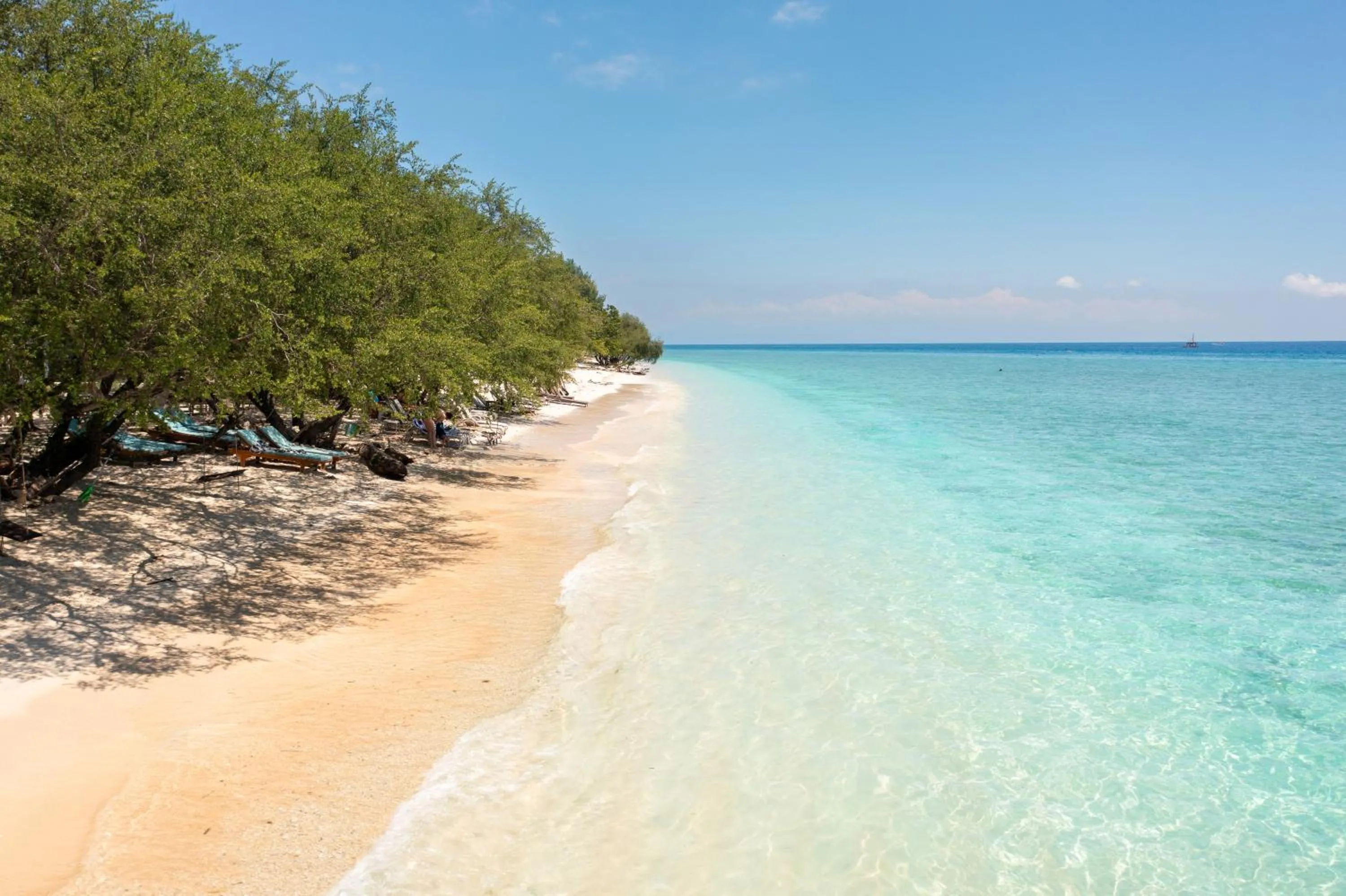 Beach in Wilson's Retreat