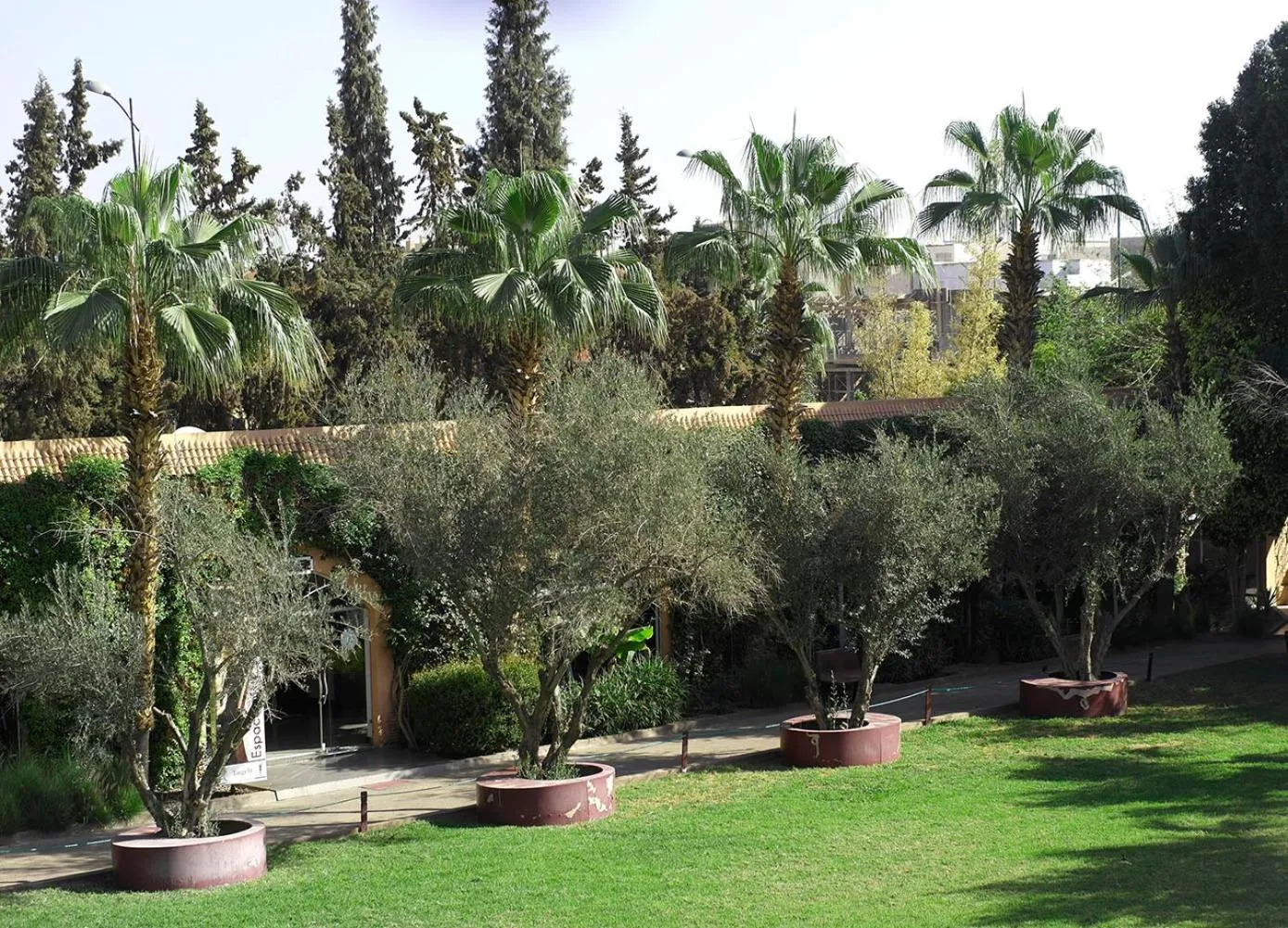 Garden in Targafit Hotel & Hammam