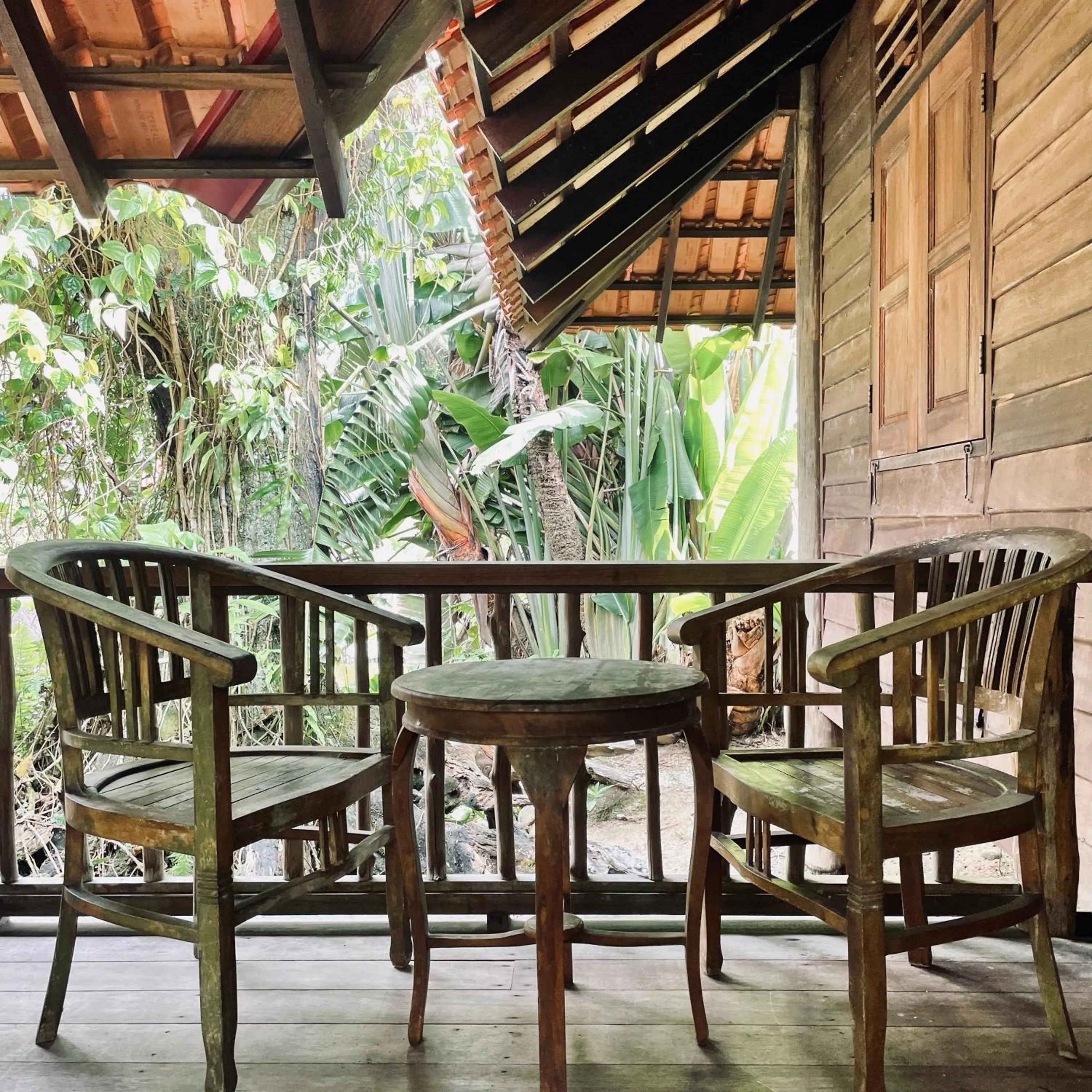 View (from property/room) in Sahom Valley Resort - Agro & Eco Park