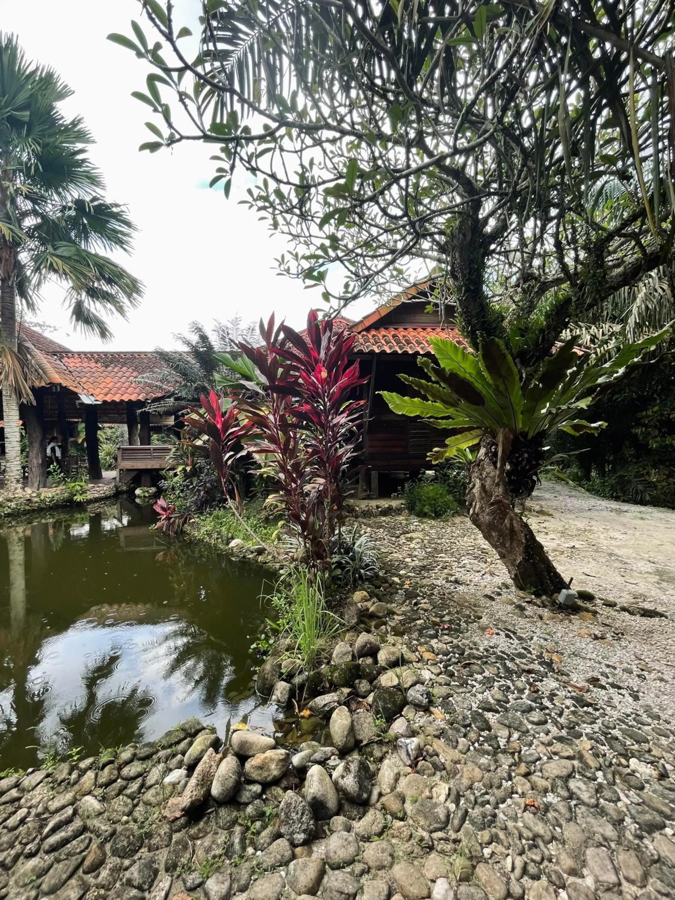 Property building in Sahom Valley Resort - Agro & Eco Park