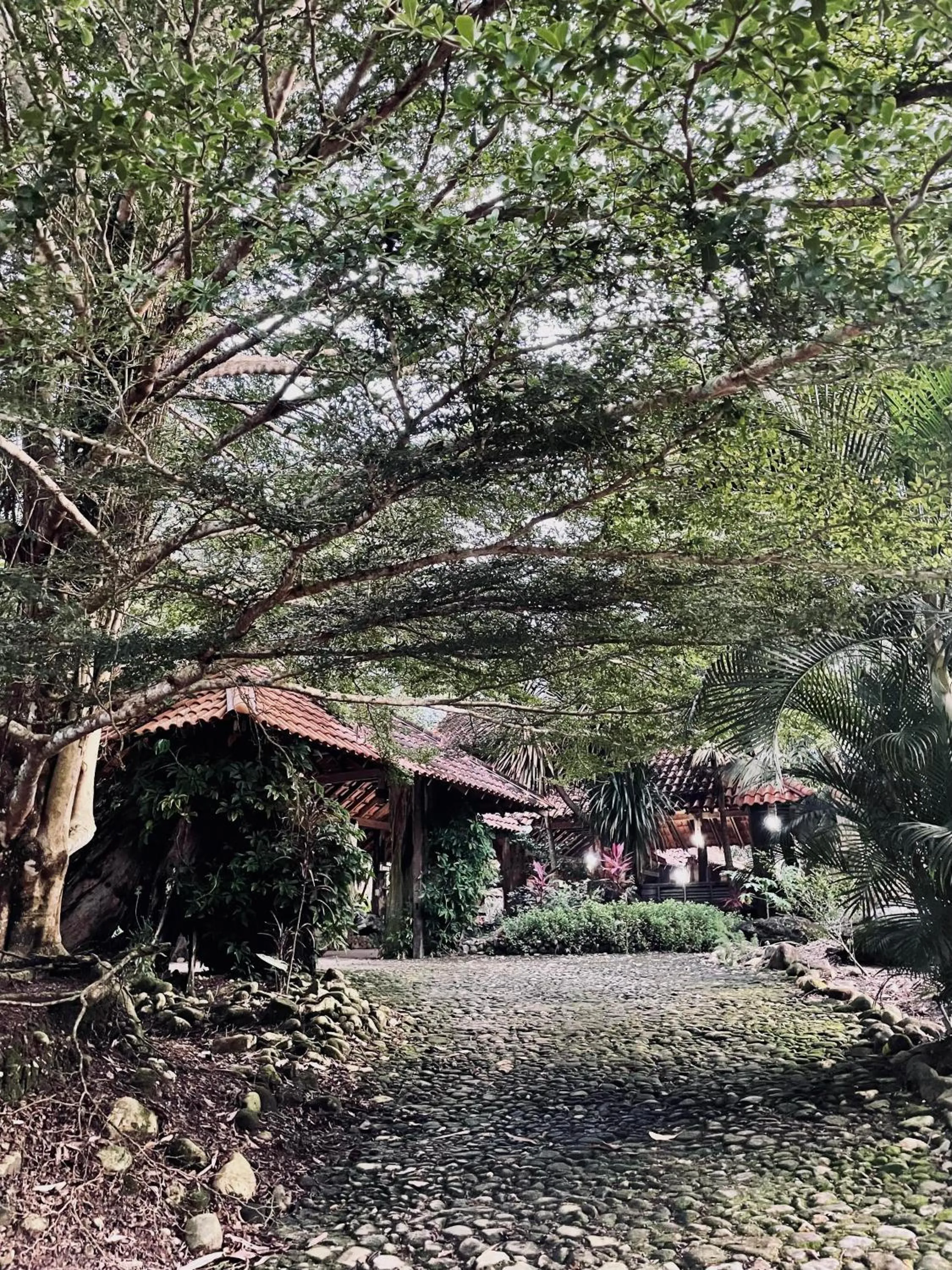 Natural landscape in Sahom Valley Resort - Agro & Eco Park