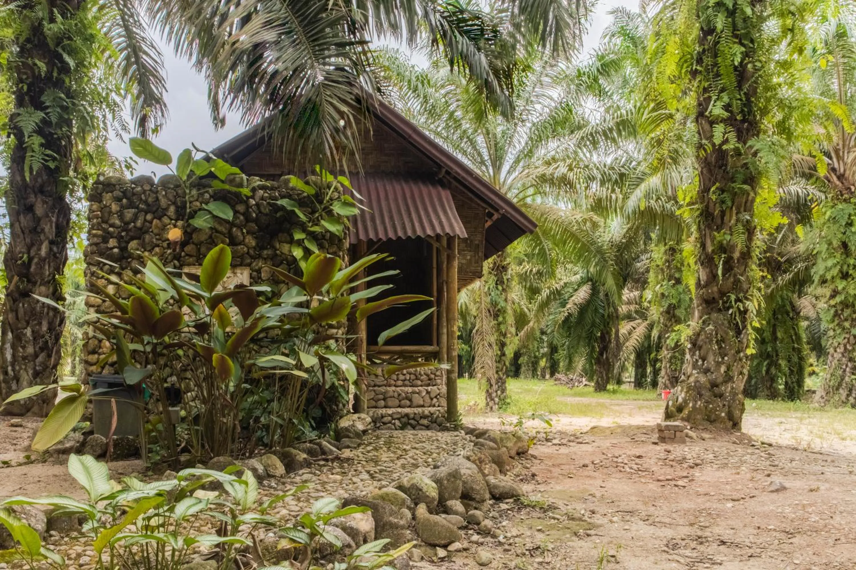 Natural landscape in Sahom Valley Resort - Agro & Eco Park