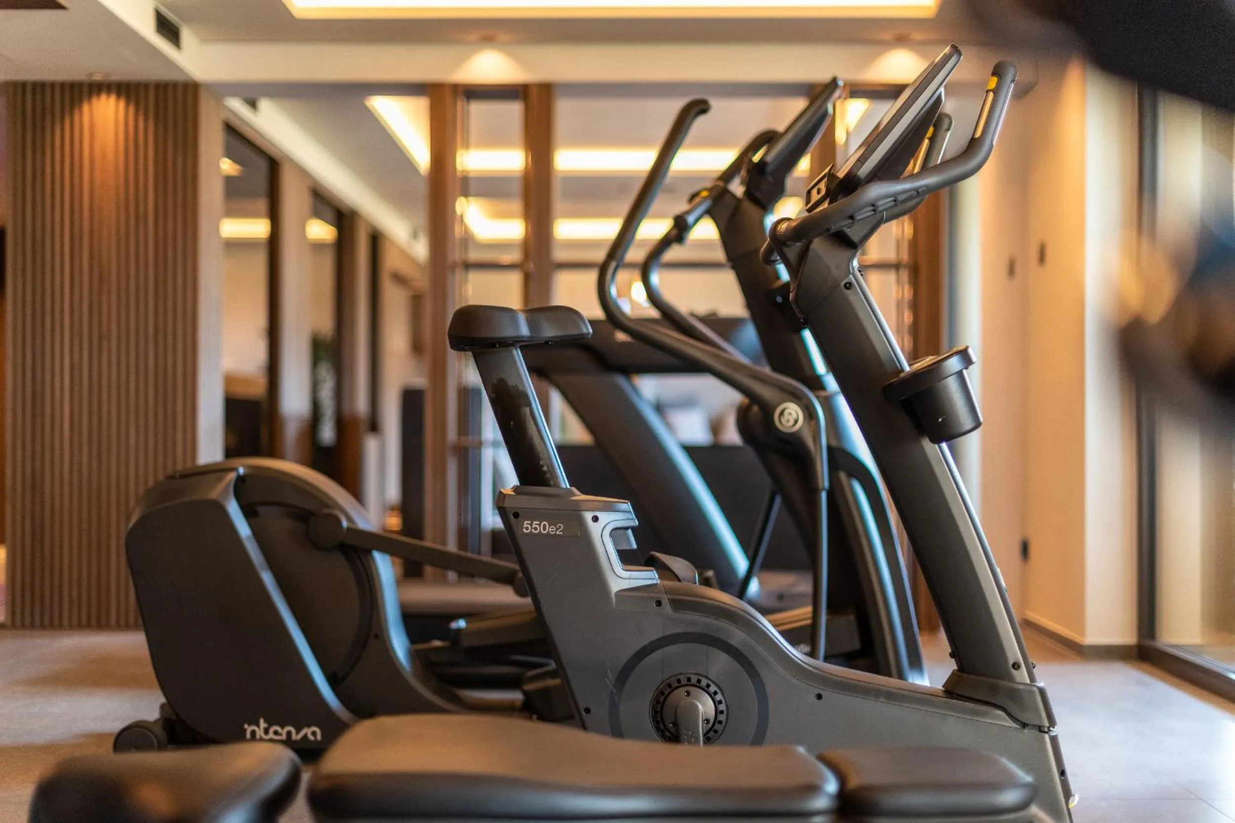 Fitness centre/facilities in VILLA NAJ