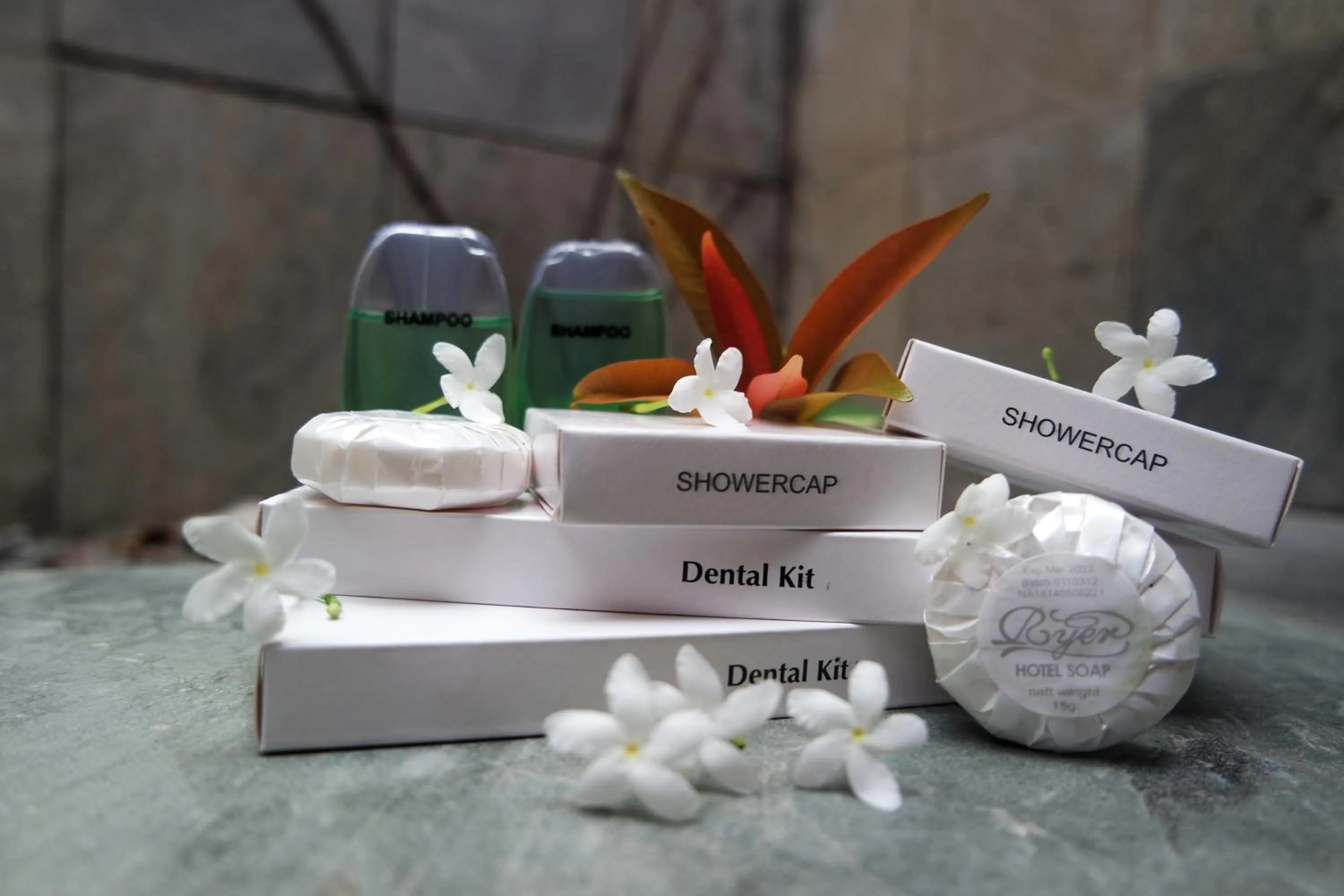 Other in Cempaka Borobudur Guest House