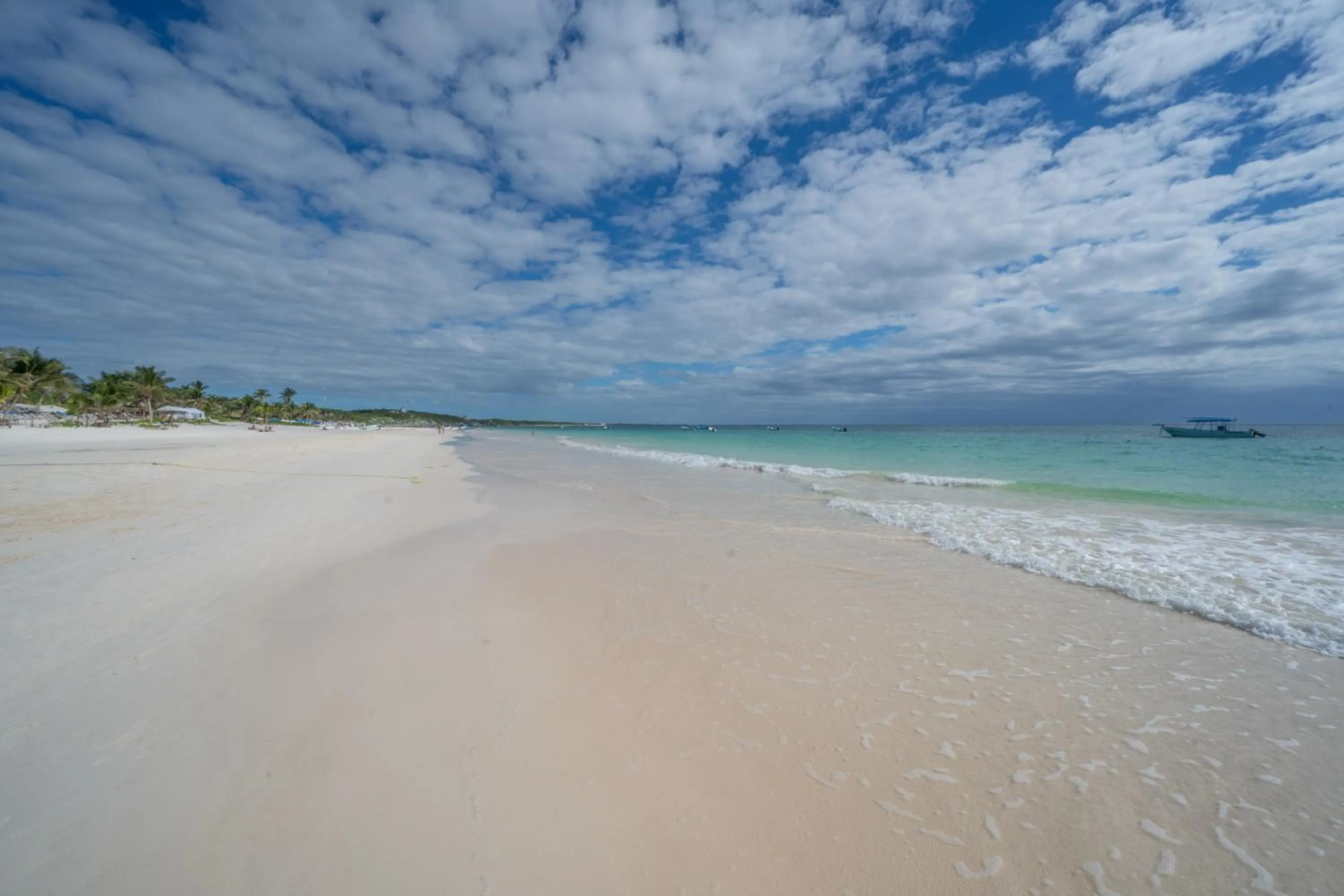 Natural landscape in Alito Tulum Hotel
