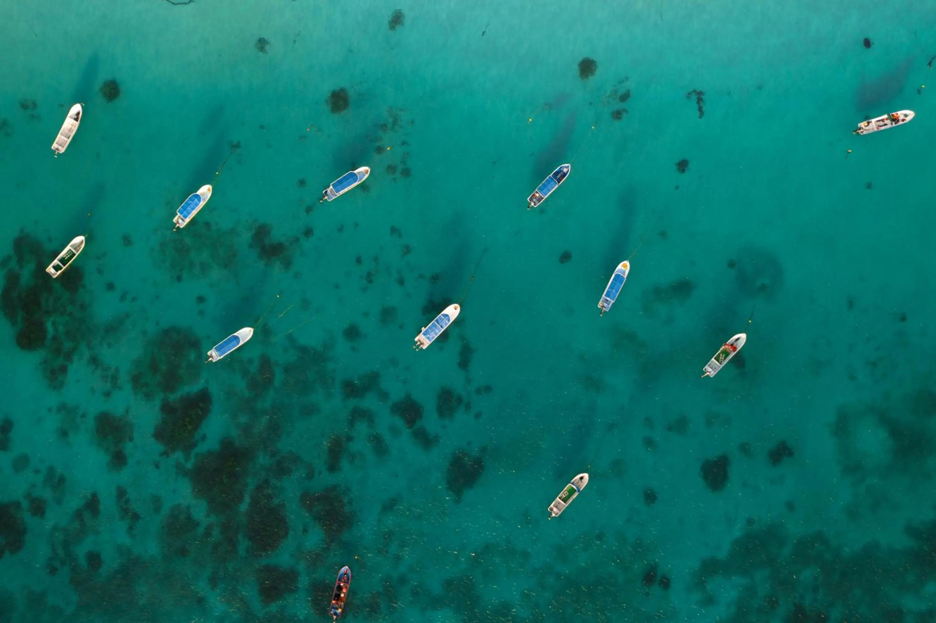 Bird's eye view in Alito Tulum Hotel