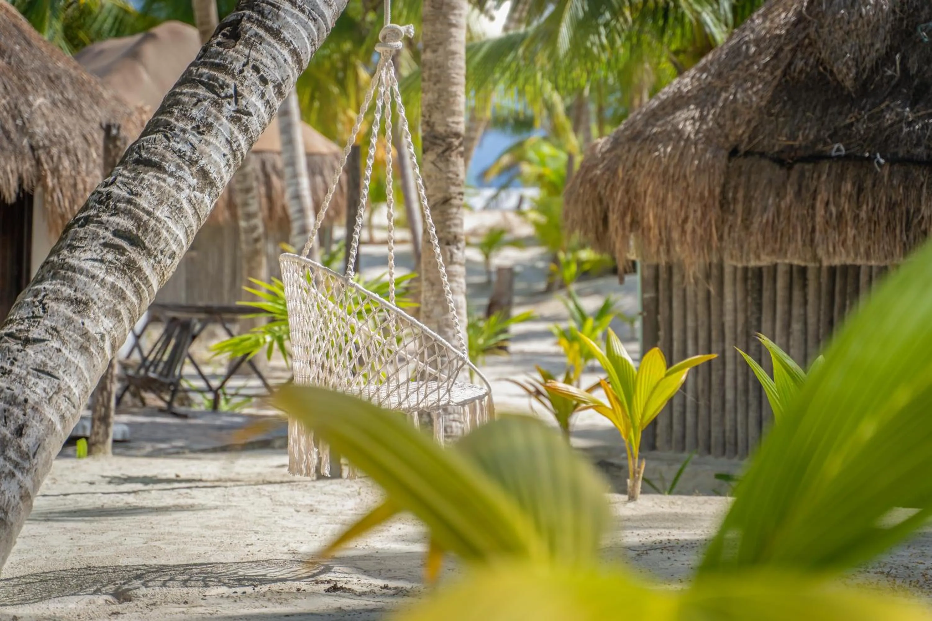 Beach in Alito Tulum Hotel