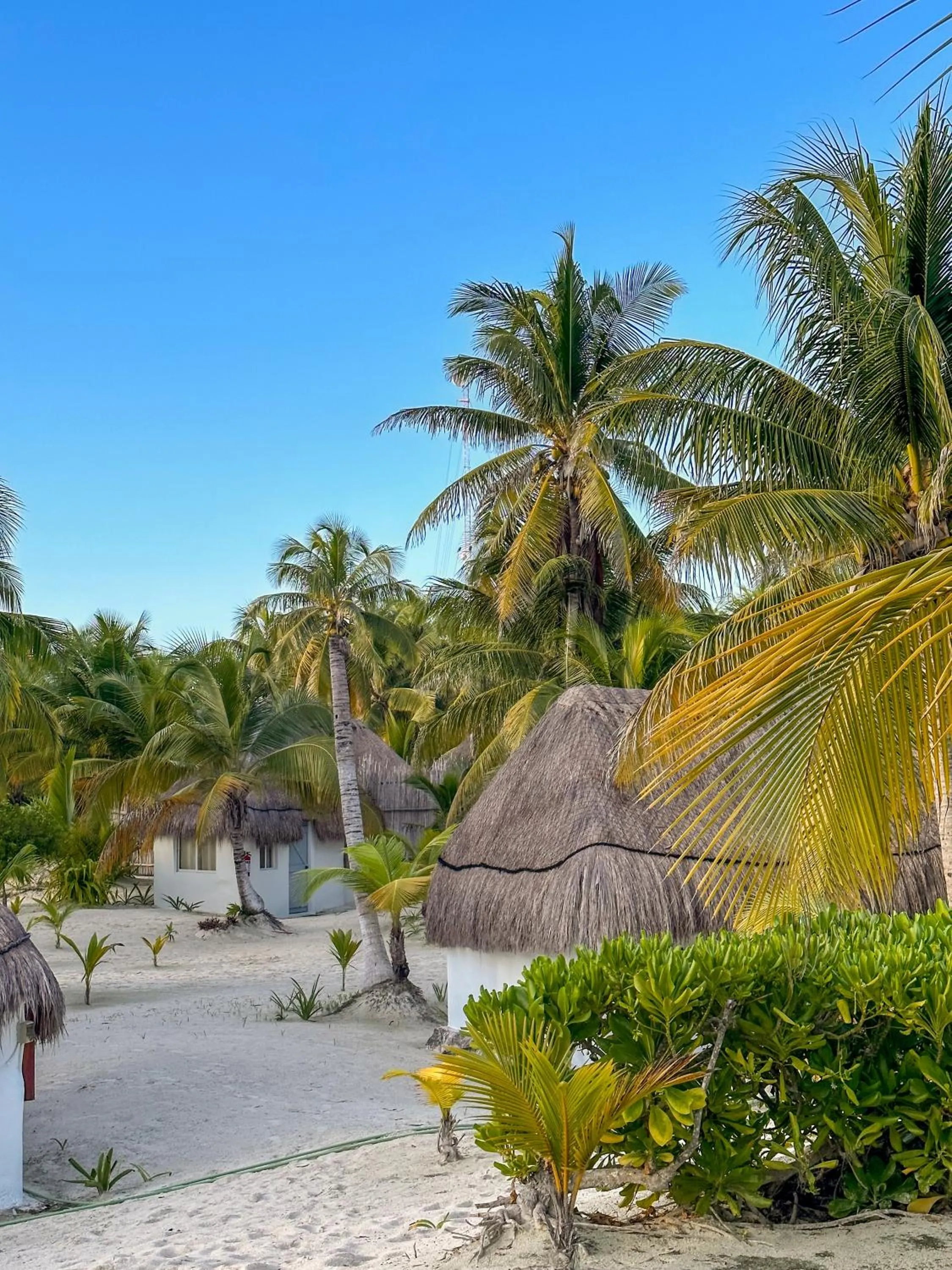 Off site in Alito Tulum Hotel
